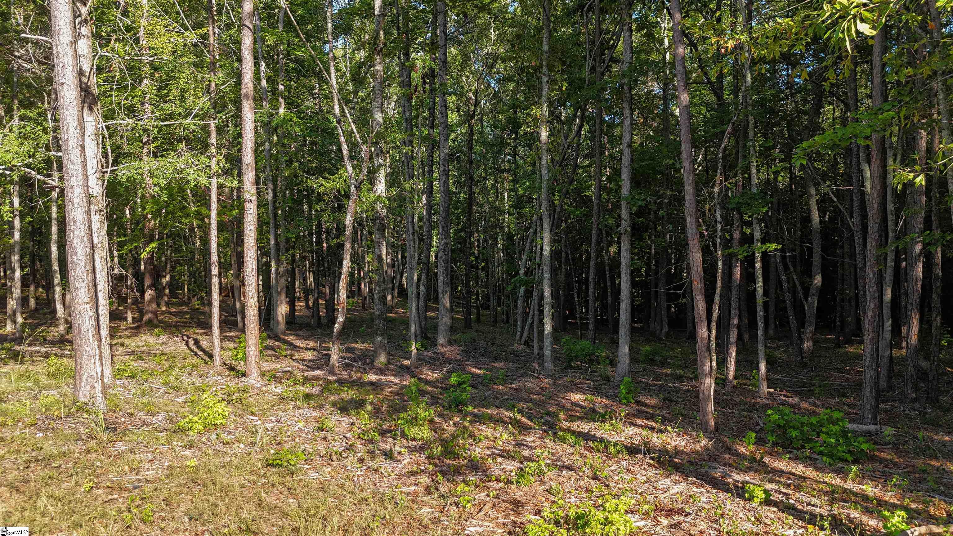 217 W Chapman Road UNIT Lot 1 Belton, SC 29627