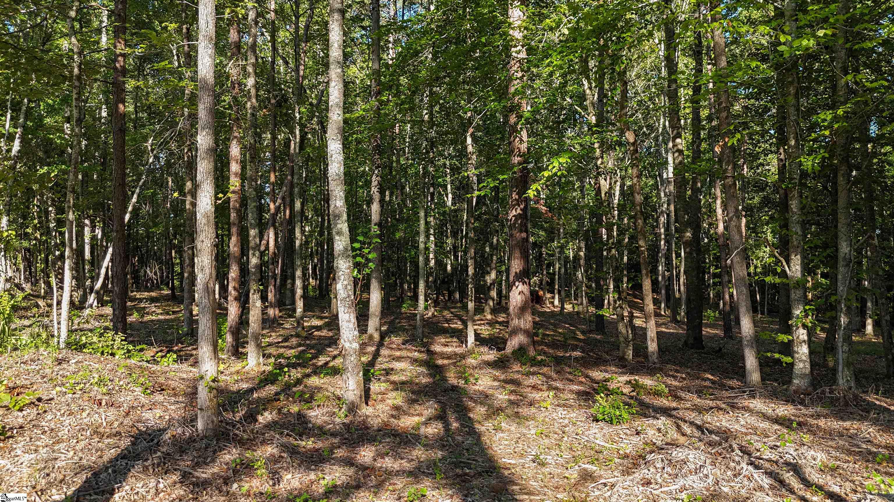 217 W Chapman Road UNIT Lot 1 Belton, SC 29627