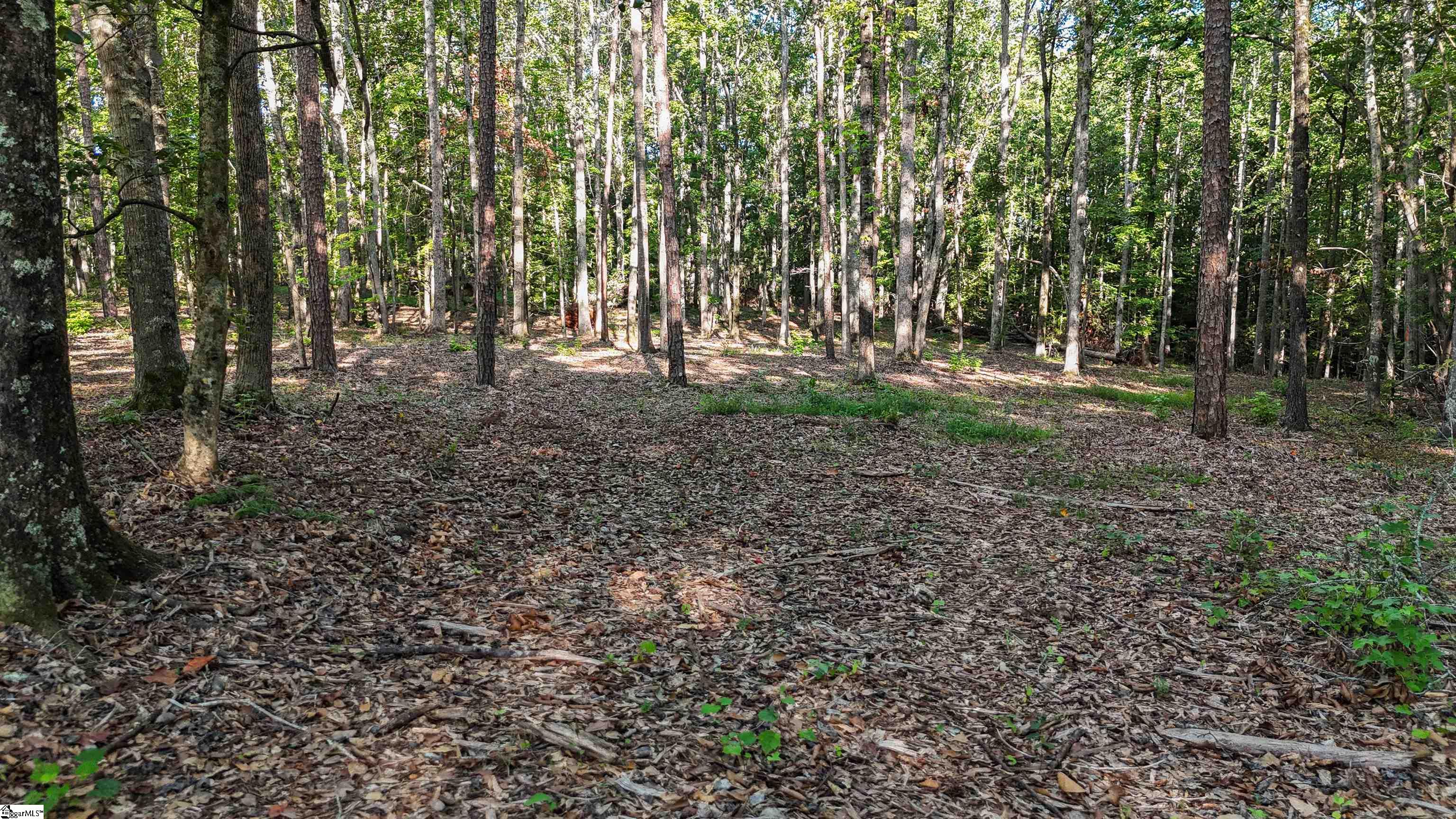 217 W Chapman Road UNIT Lot 1 Belton, SC 29627