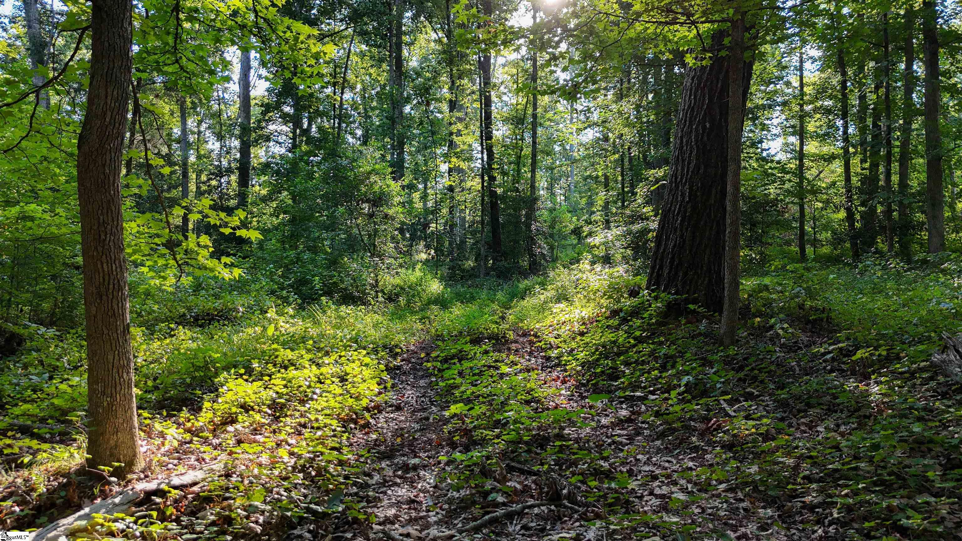 225 W Chapman Road UNIT Lot 3 Belton, SC 29627