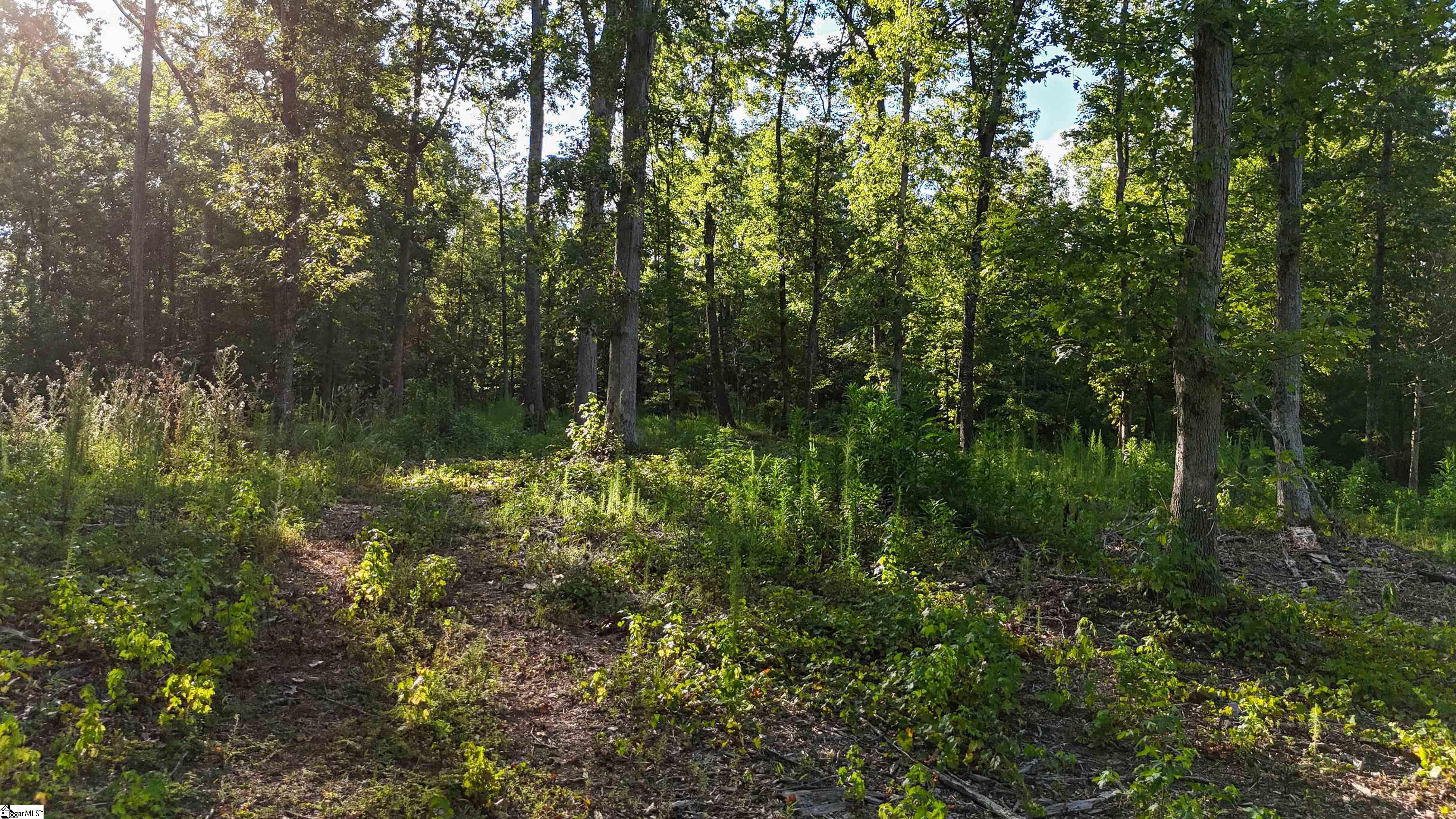 225 W Chapman Road UNIT Lot 3 Belton, SC 29627