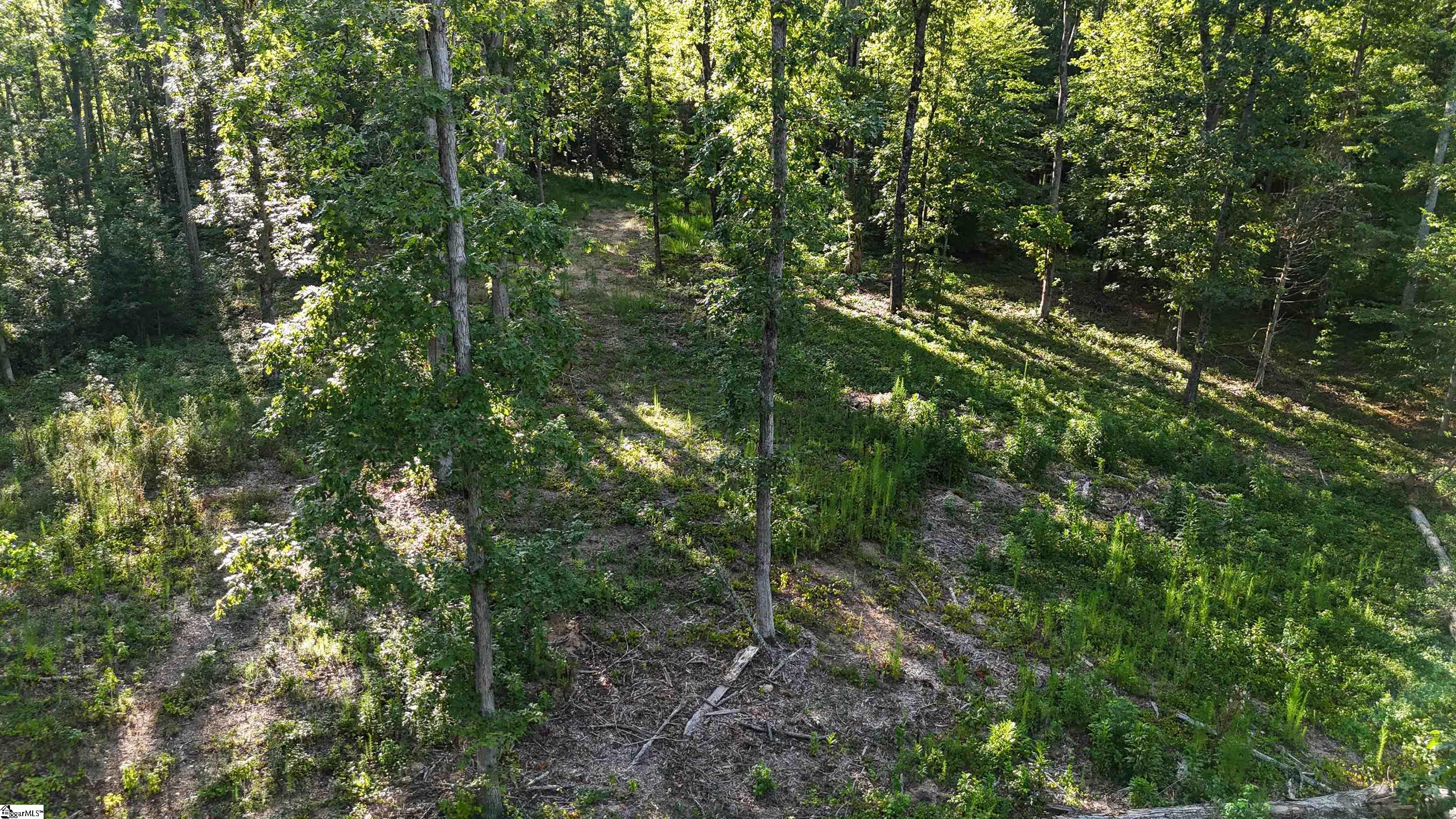 225 W Chapman Road UNIT Lot 3 Belton, SC 29627