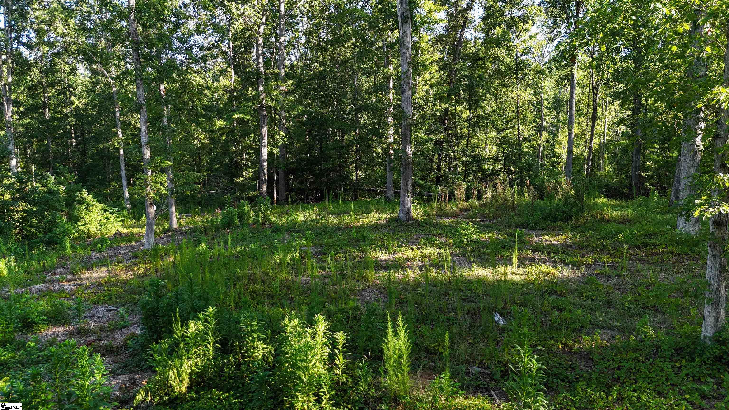 225 W Chapman Road UNIT Lot 3 Belton, SC 29627