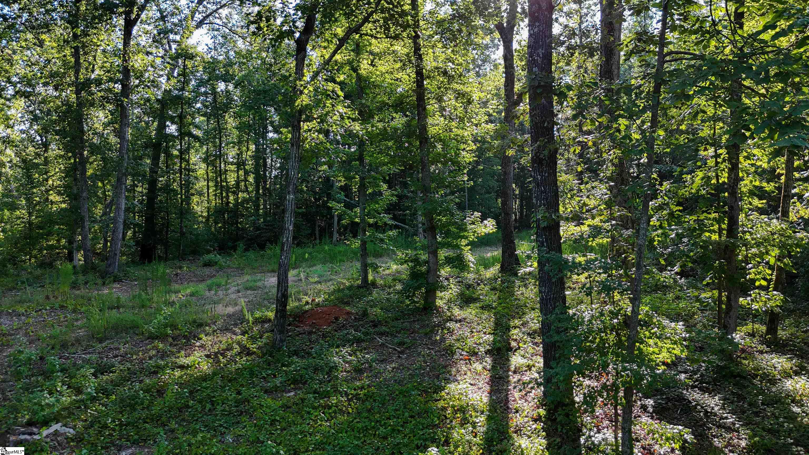 225 W Chapman Road UNIT Lot 3 Belton, SC 29627