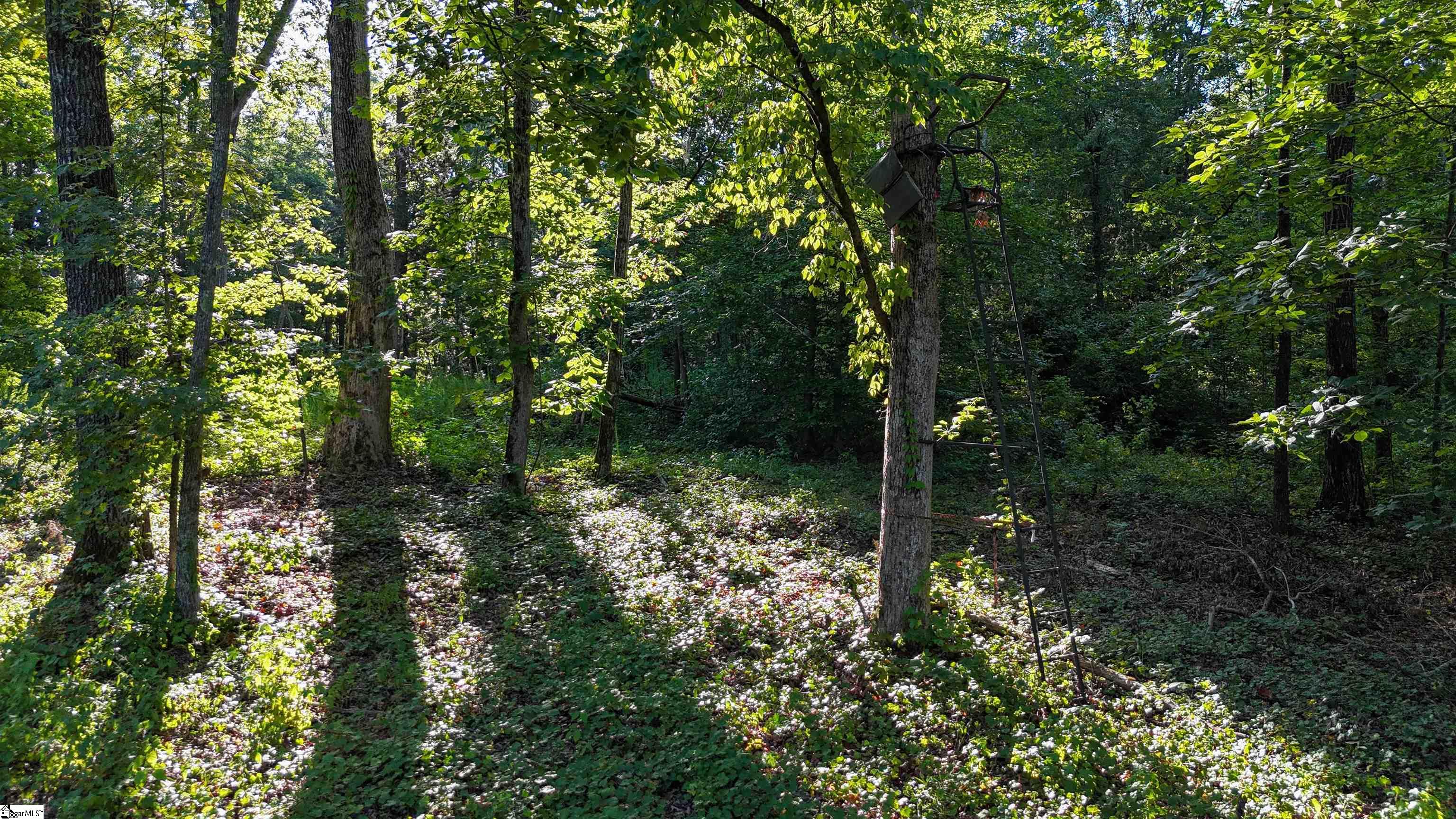 225 W Chapman Road UNIT Lot 3 Belton, SC 29627
