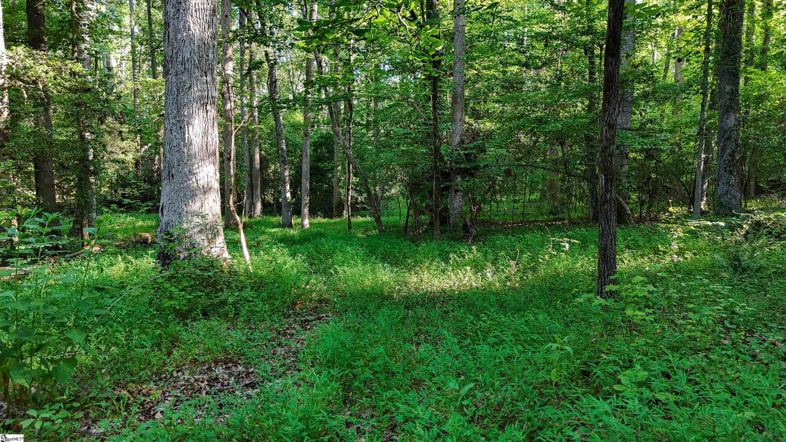 225 W Chapman Road UNIT Lot 3 Belton, SC 29627