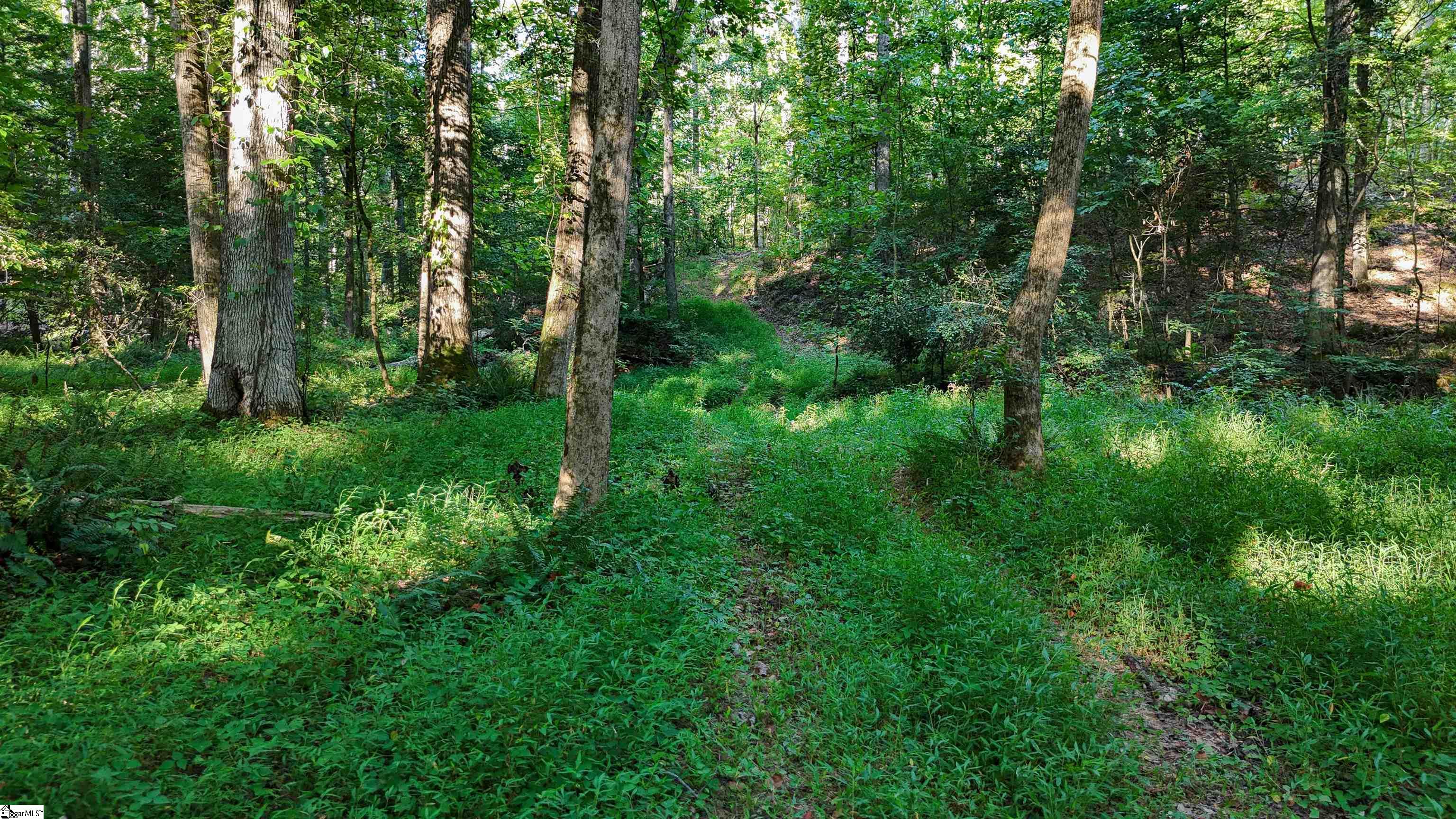 225 W Chapman Road UNIT Lot 3 Belton, SC 29627