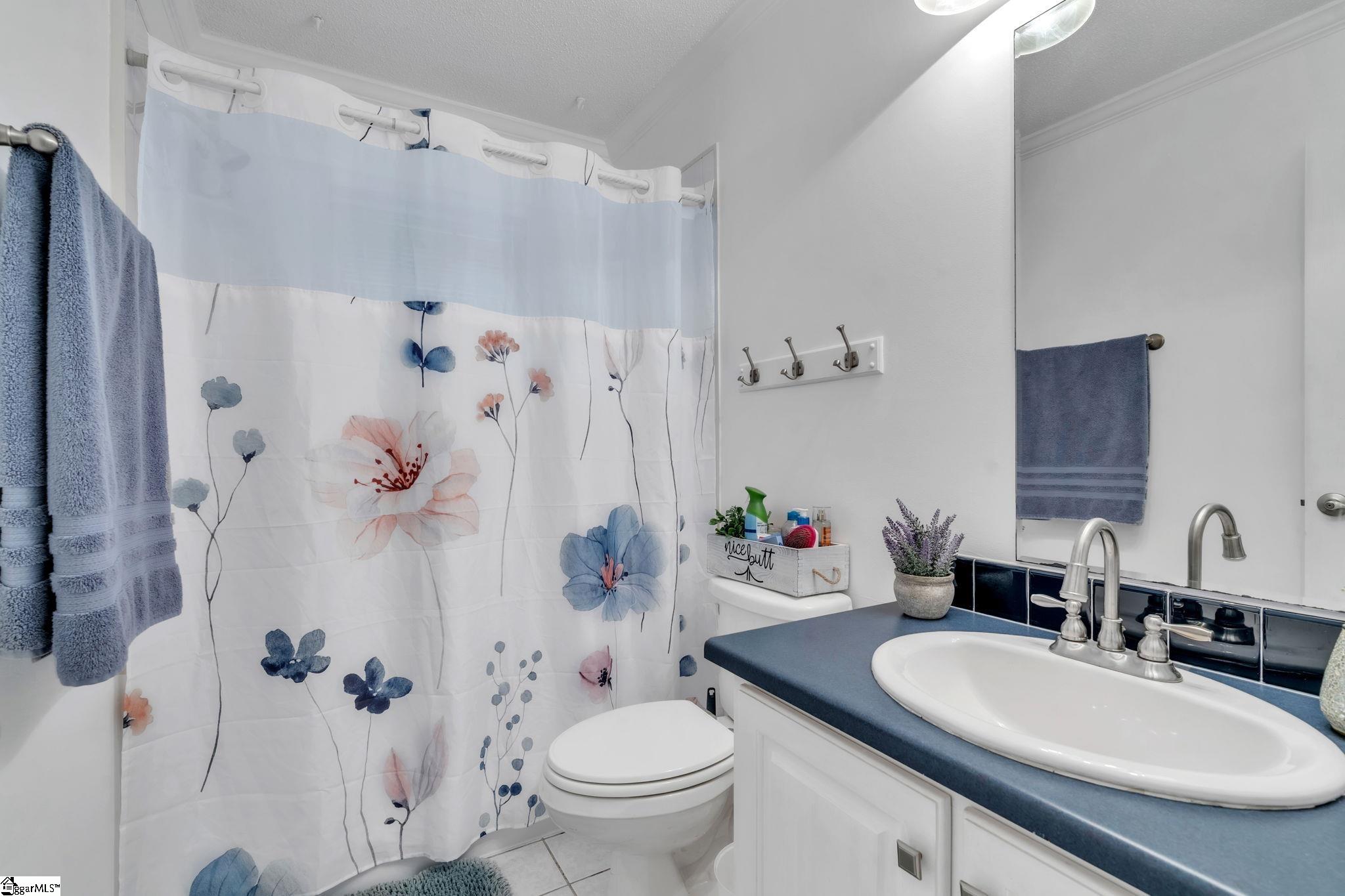 437 McConnell Road Marietta, SC 29661