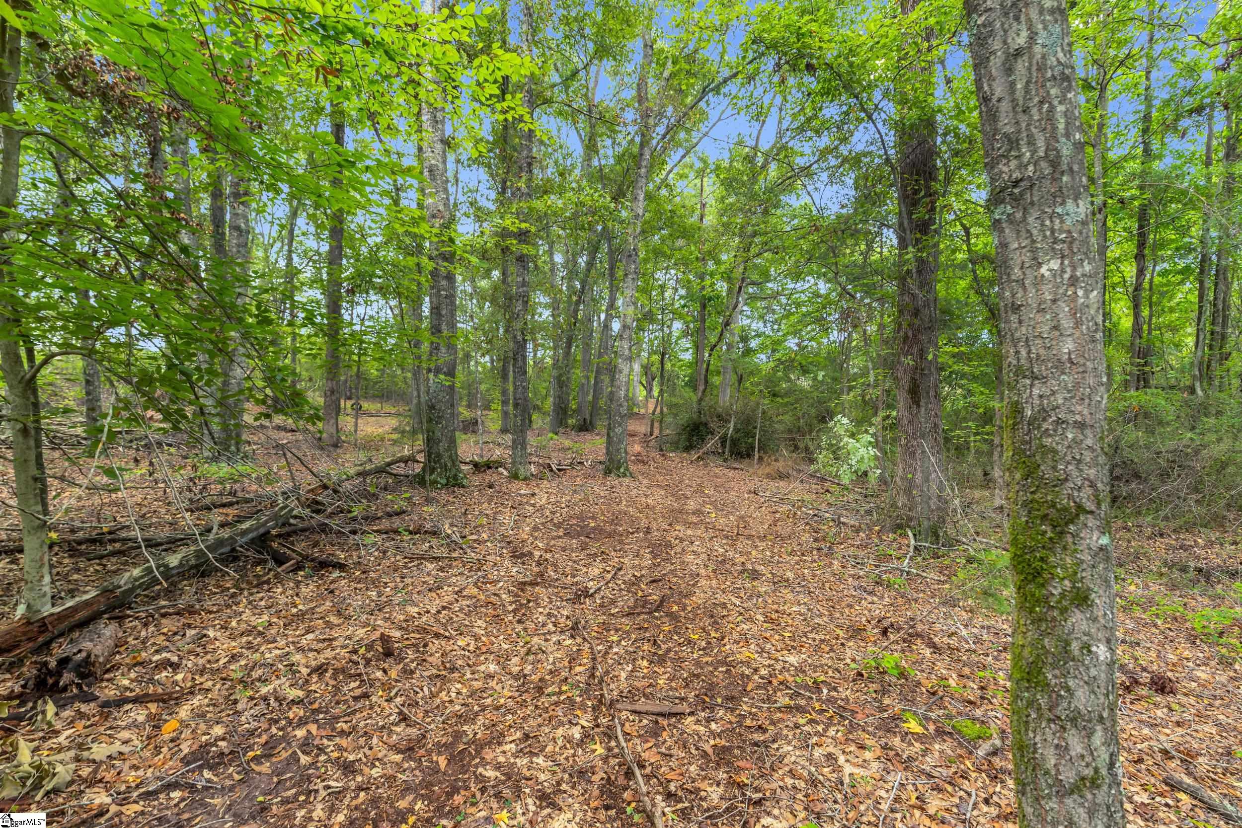 916 Old Saluda Dam Road Easley, SC 29640-7382