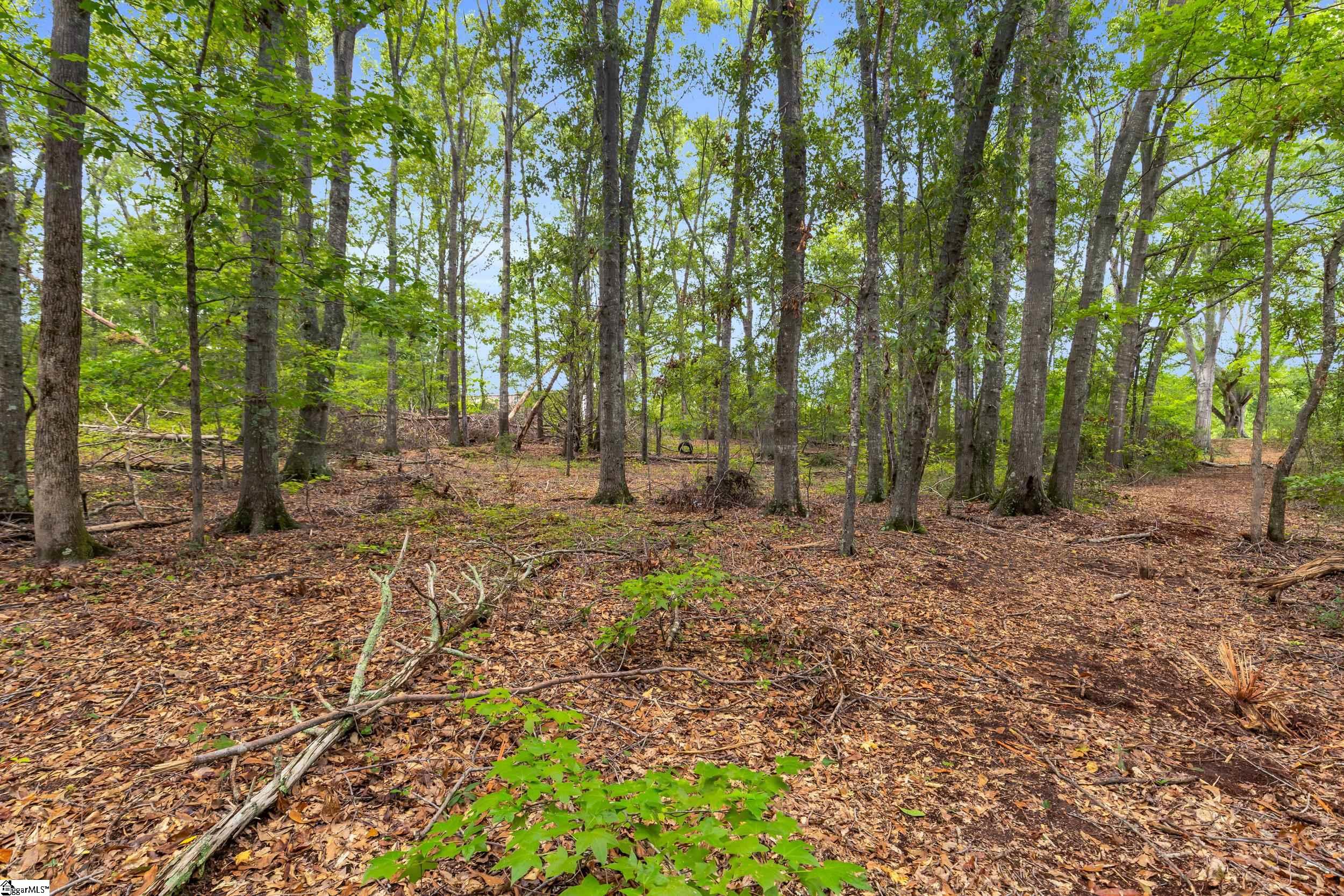 916 Old Saluda Dam Road Easley, SC 29640-7382