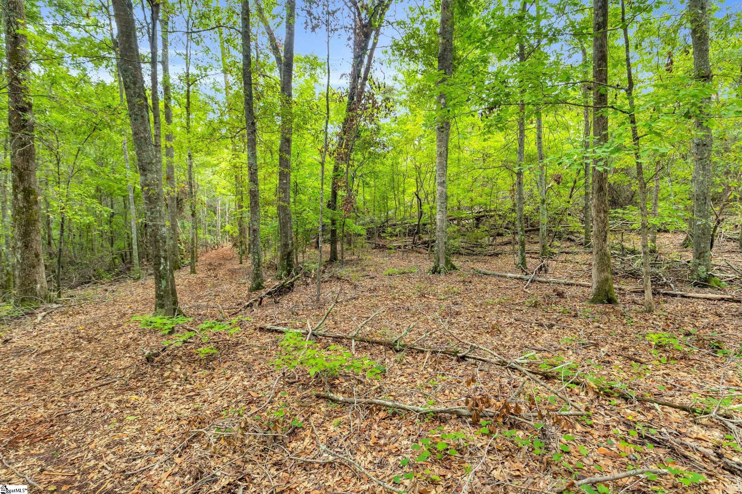916 Old Saluda Dam Road Easley, SC 29640-7382