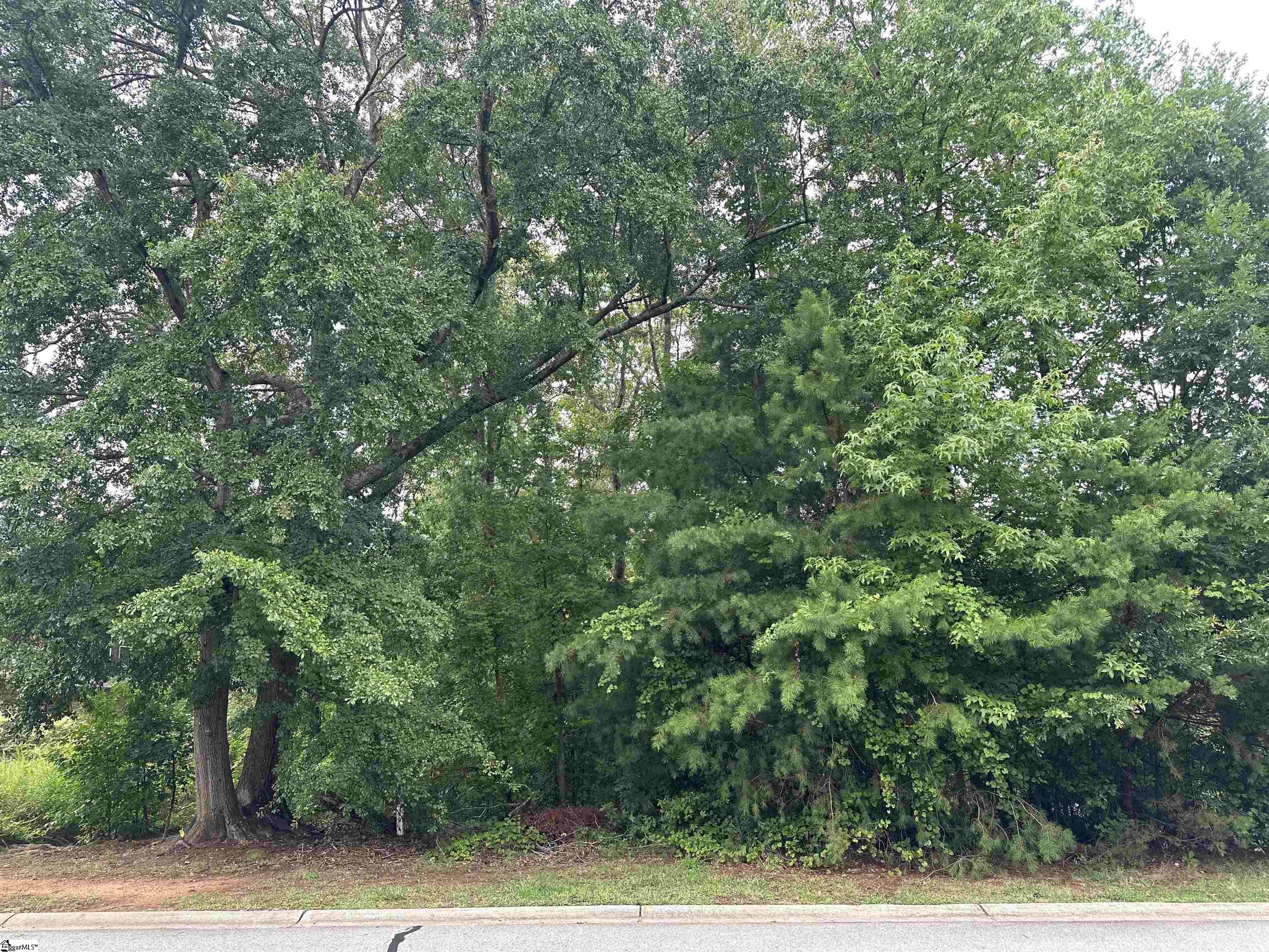 304 Chamblee Boulevard Greenville, SC 29615