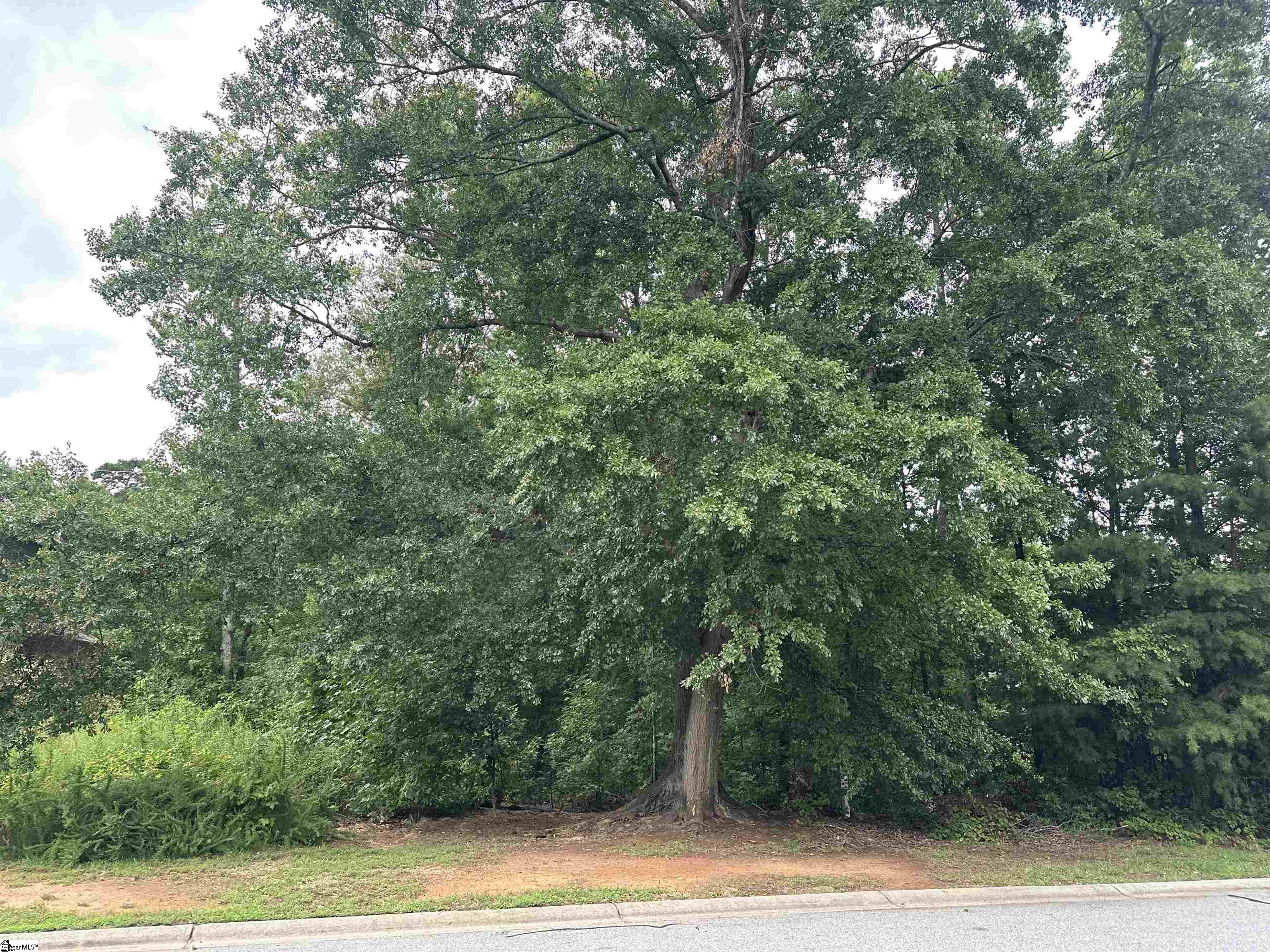 304 Chamblee Boulevard Greenville, SC 29615