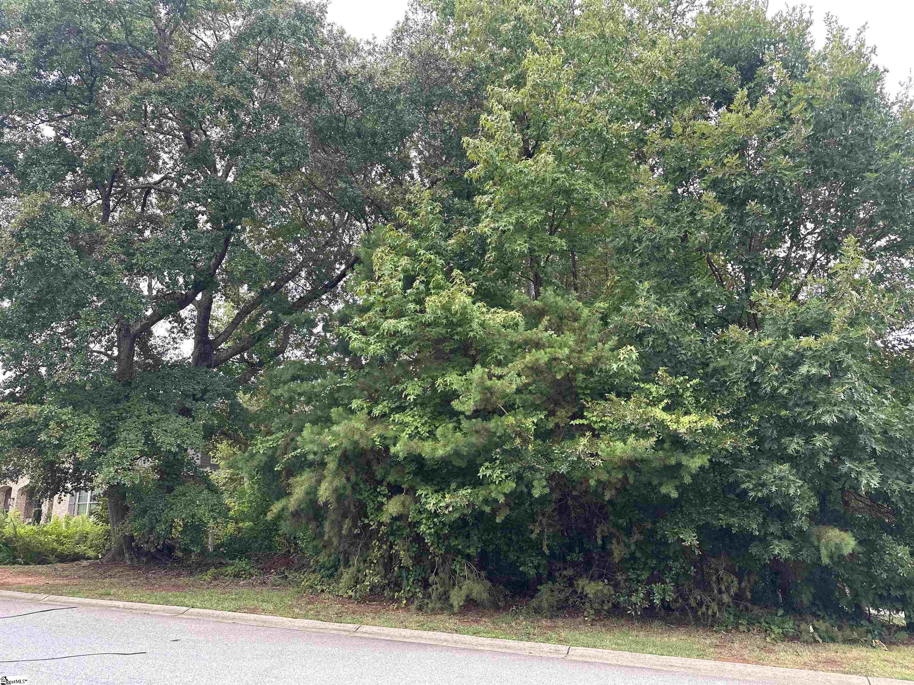 304 Chamblee Boulevard Greenville, SC 29615