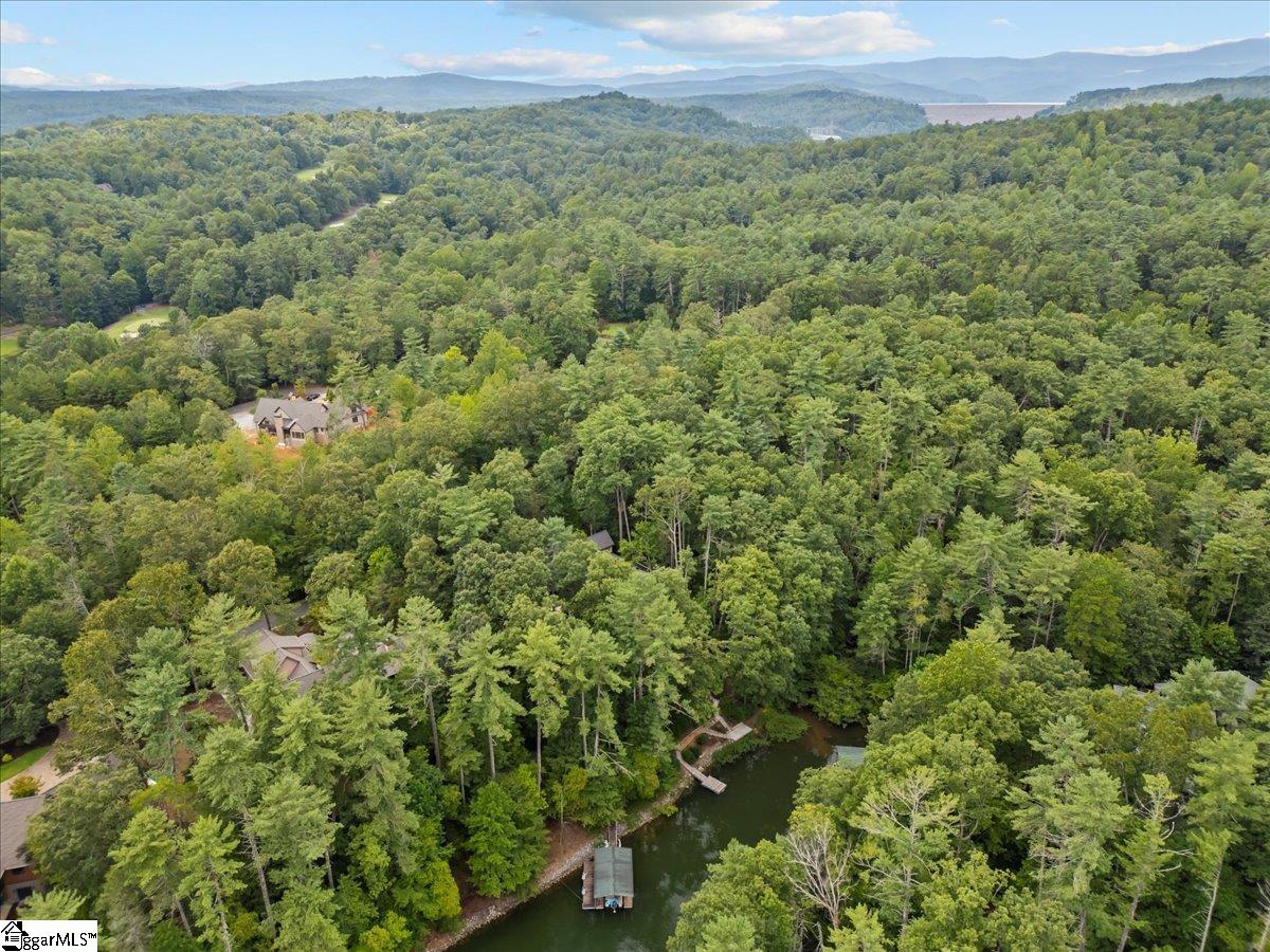205 Pitcher Plant Lane Sunset, SC 29685