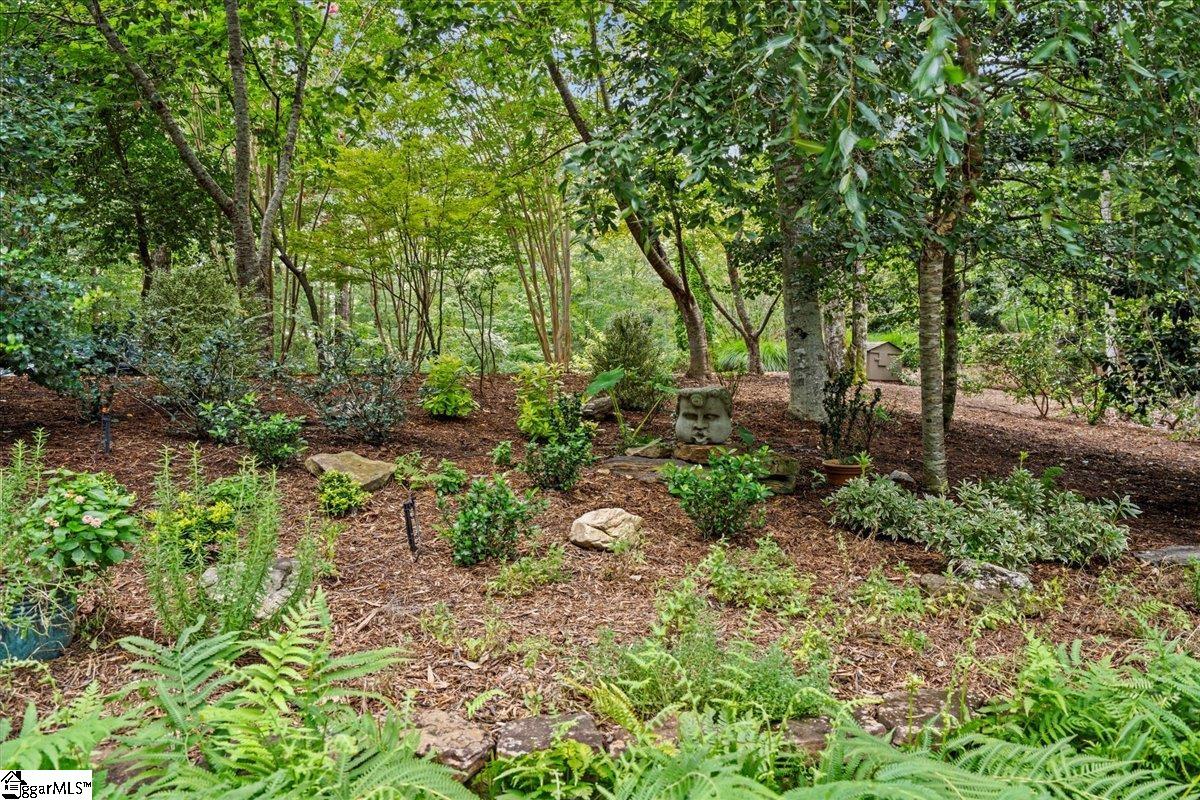 205 Pitcher Plant Lane Sunset, SC 29685