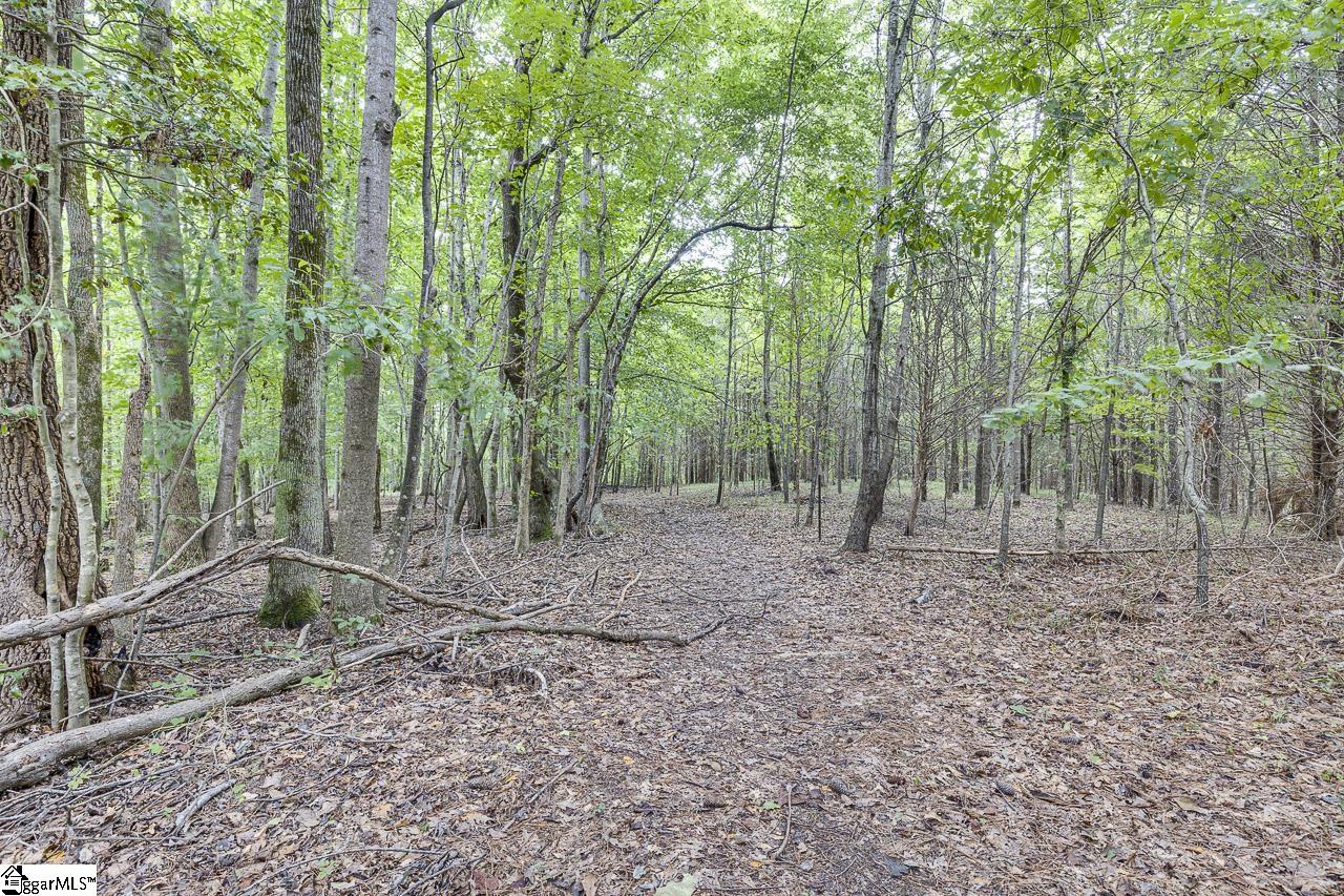 764 Miller Road Woodruff, SC 29388-8500