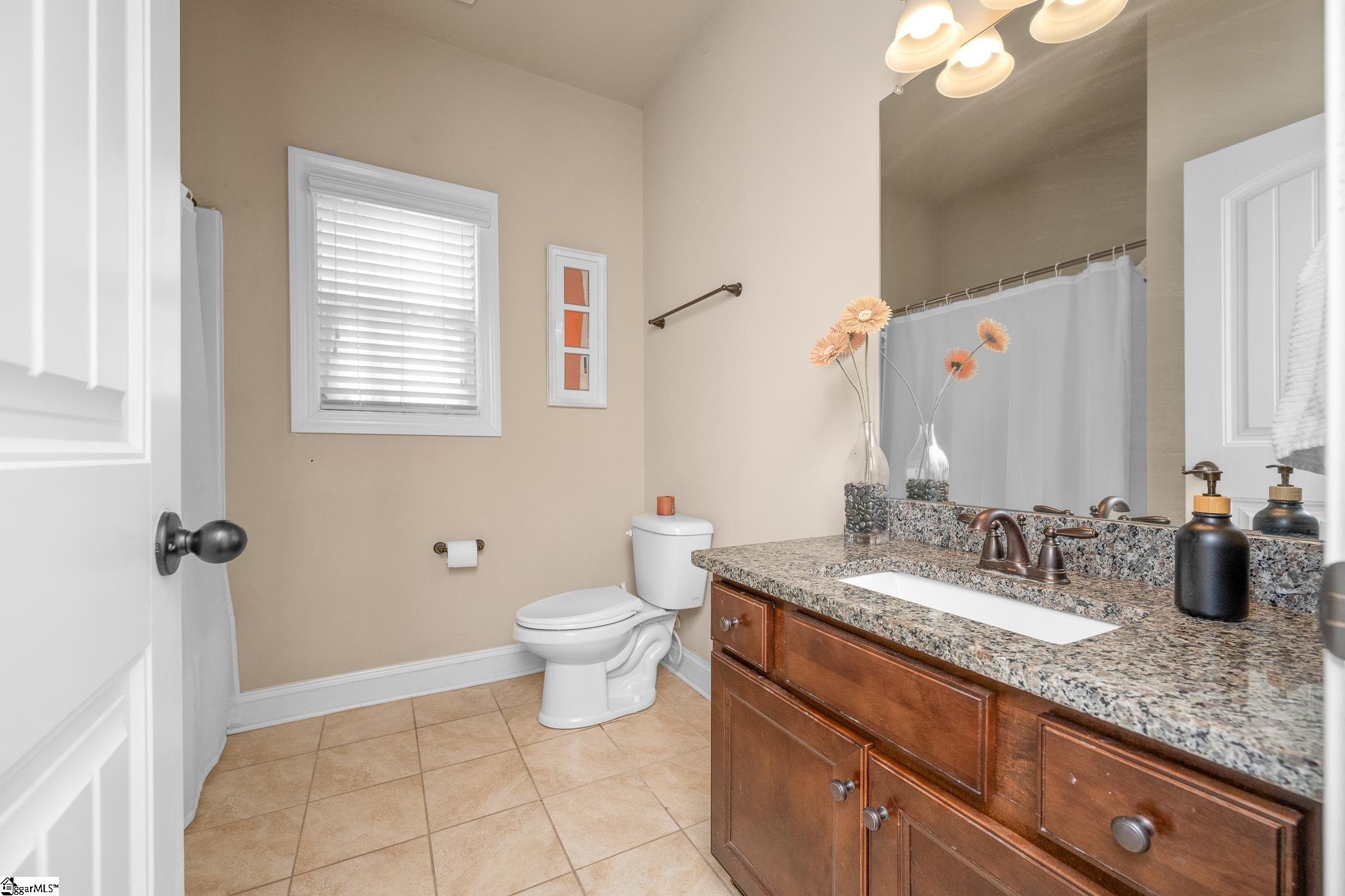 19 Wood Hollow Circle Greer, SC 29650-4662
