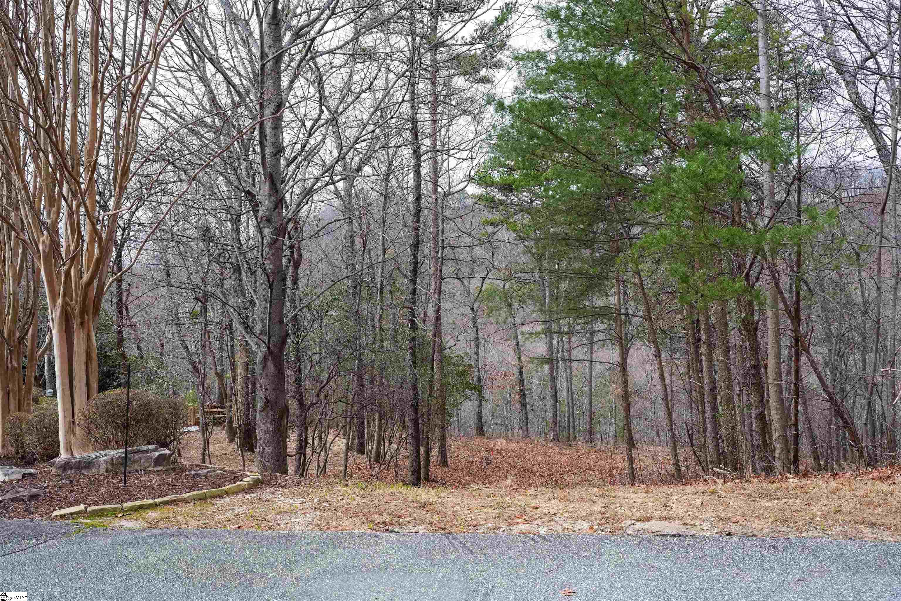 44 Mountain Oak Lane Travelers Rest, SC 29690