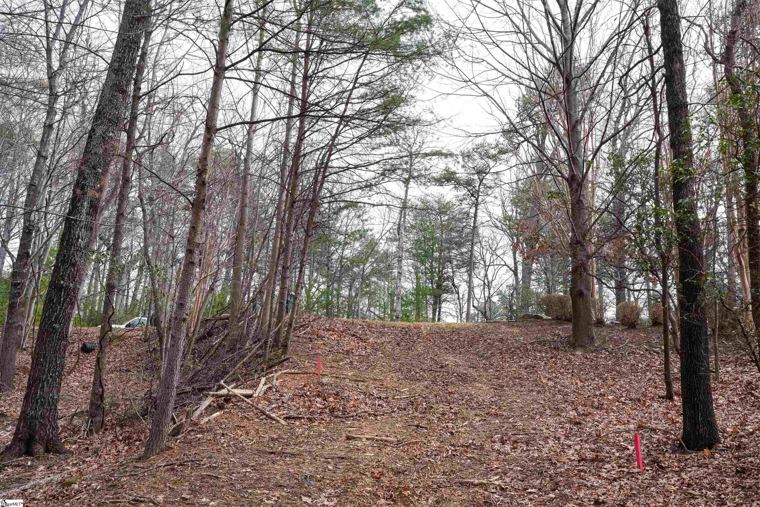 44 Mountain Oak Lane Travelers Rest, SC 29690