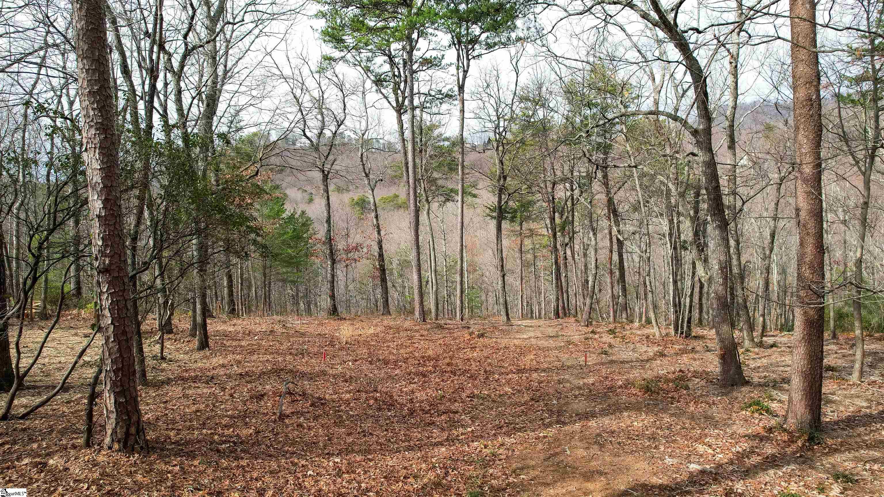 44 Mountain Oak Lane Travelers Rest, SC 29690