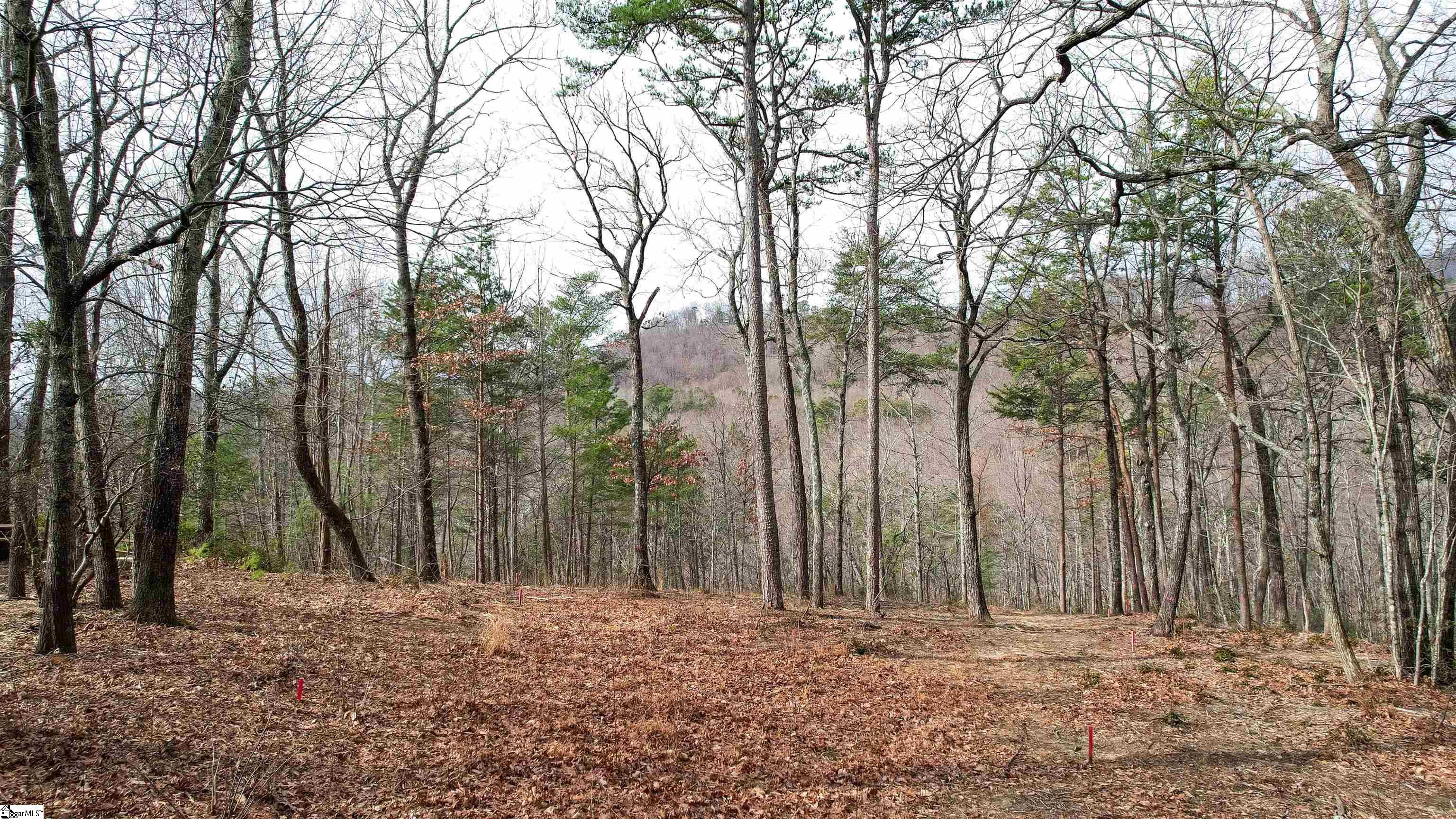 44 Mountain Oak Lane Travelers Rest, SC 29690