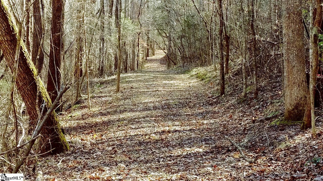 1250 Mountain Creek Road Rutherfordton, NC 28139