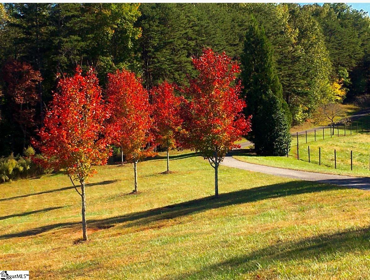 1250 Mountain Creek Road Rutherfordton, NC 28139