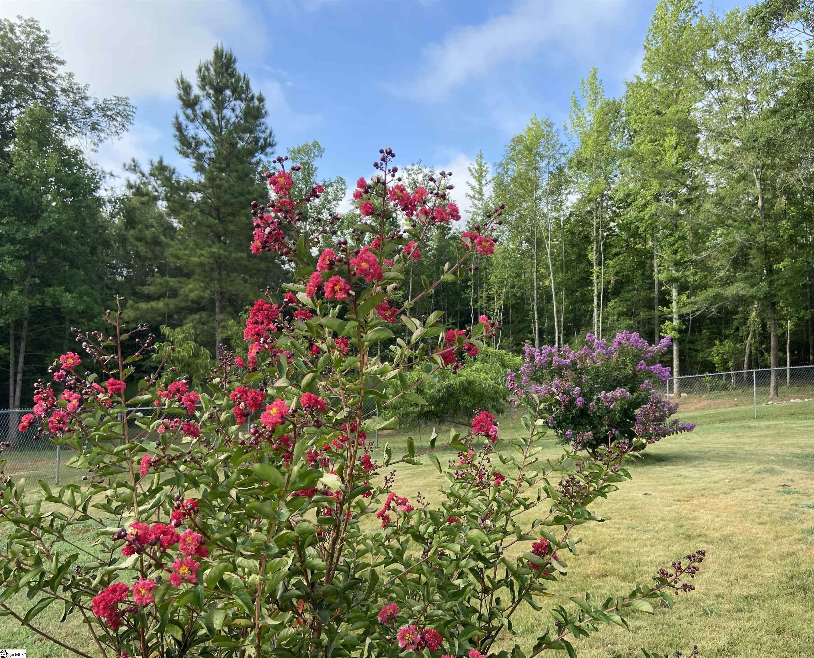 158 Shaw Ridge Drive Woodruff, SC 29388