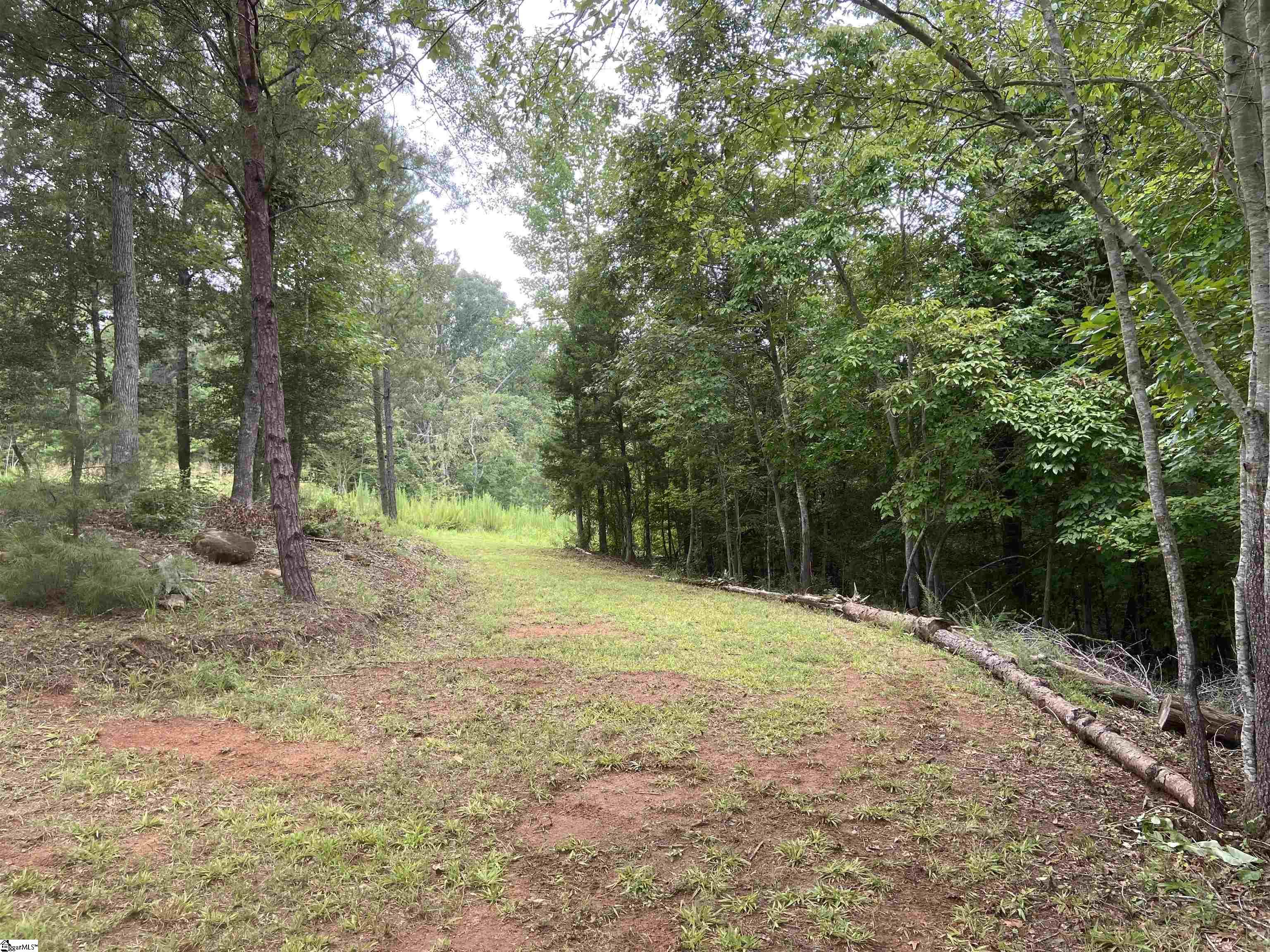 158 Shaw Ridge Drive Woodruff, SC 29388