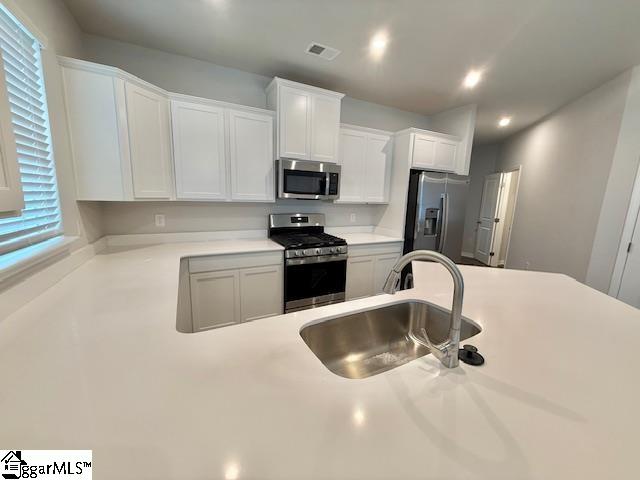 1633 Savannah Mills Drive Spartanburg, SC 29303