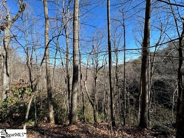 Chestnut Ridge Road Greenville, SC 29609