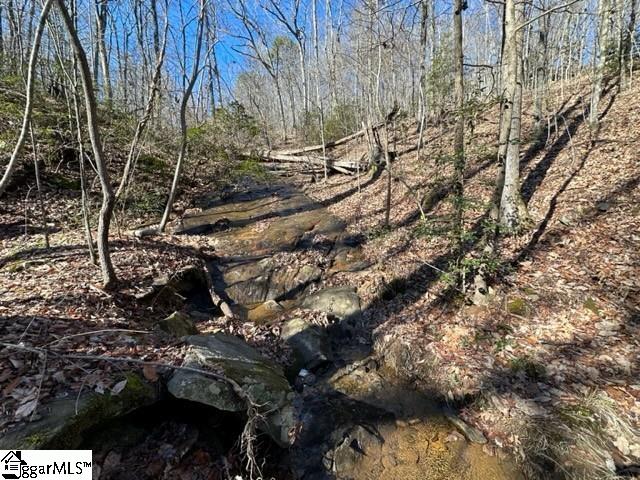 Chestnut Ridge Road Greenville, SC 29609