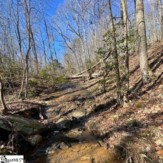 Chestnut Ridge Road Greenville, SC 29609