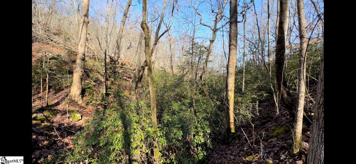 Chestnut Ridge Road Greenville, SC 29609