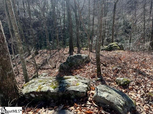 Chestnut Ridge Road Greenville, SC 29609
