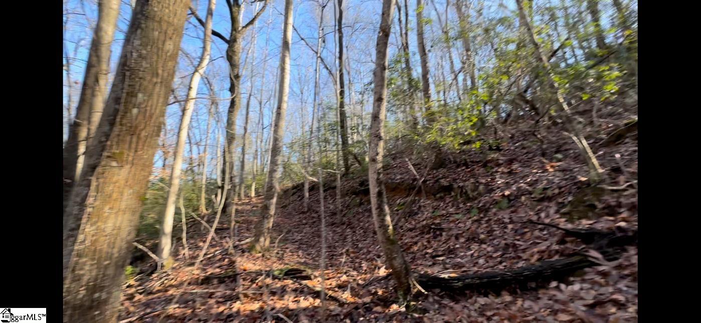 Chestnut Ridge Road Greenville, SC 29609