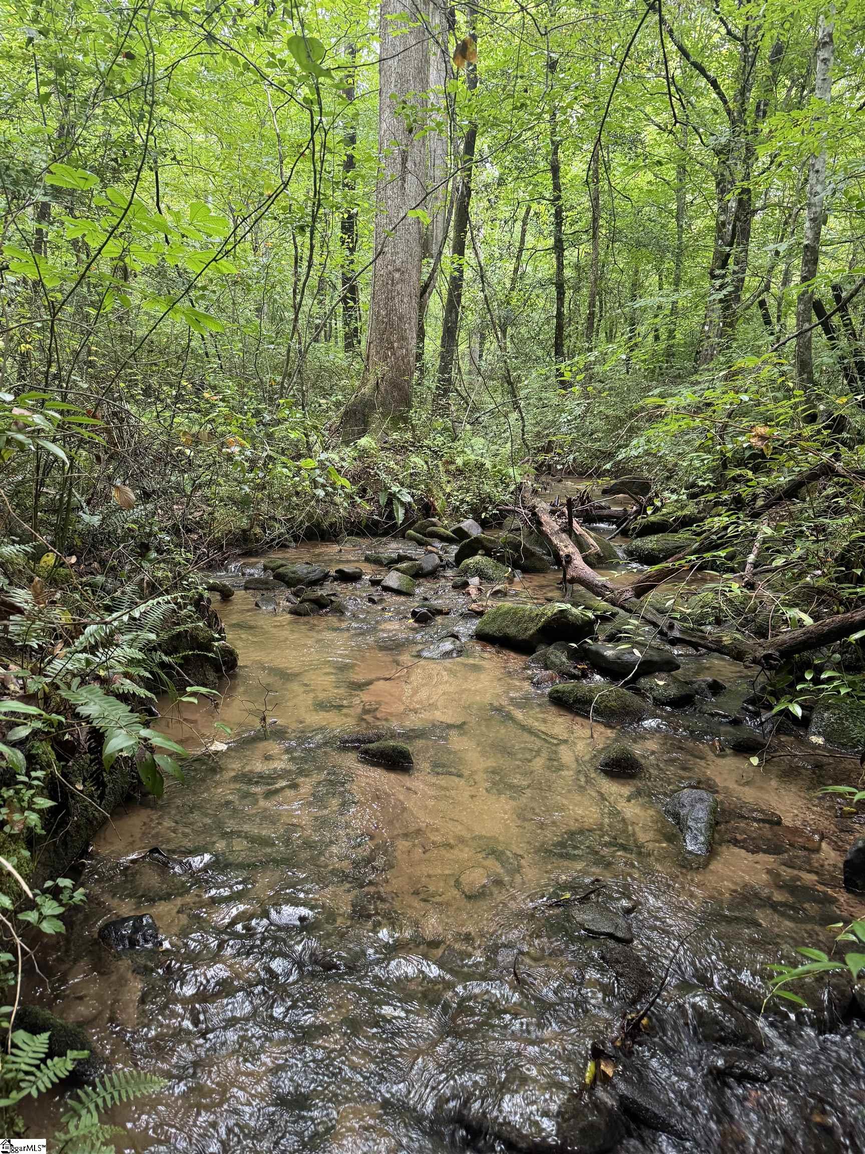 00 Table Rock Road Cleveland, SC 29635