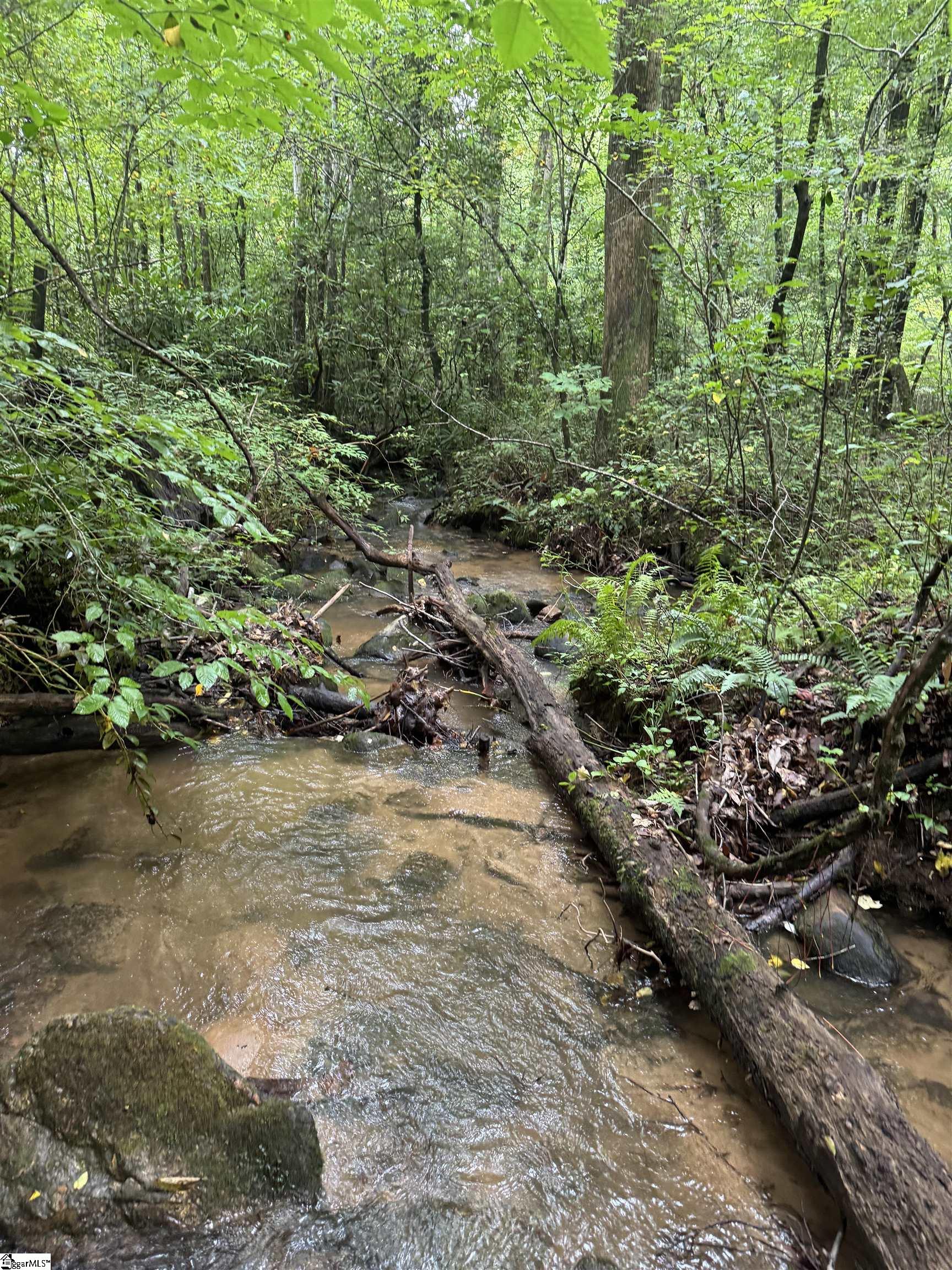 00 Table Rock Road Cleveland, SC 29635