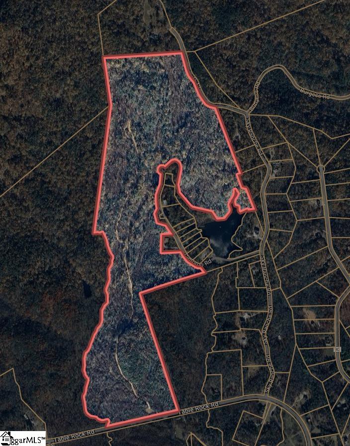 00 Table Rock Road Cleveland, SC 29635