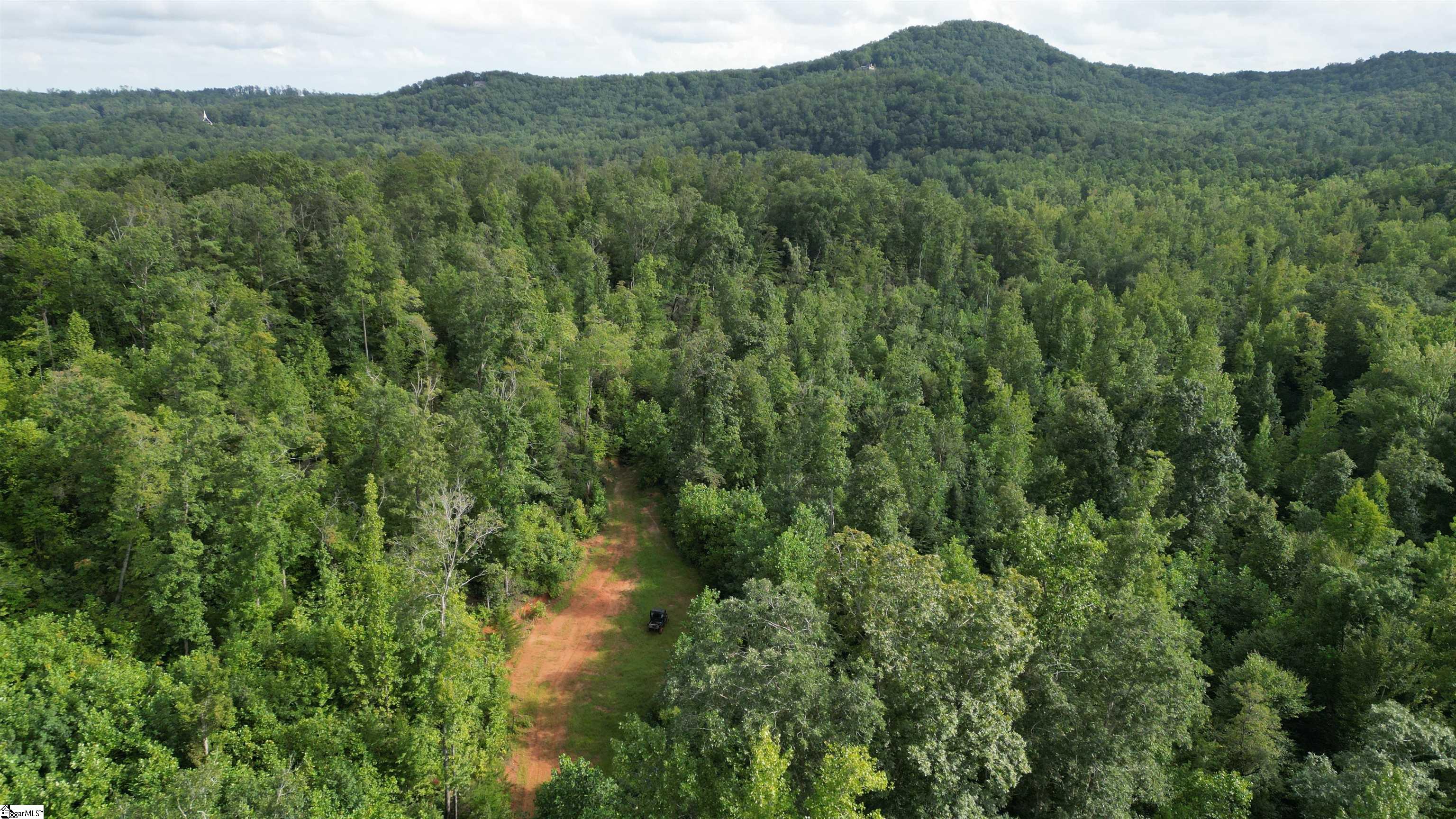 00 Table Rock Road Cleveland, SC 29635