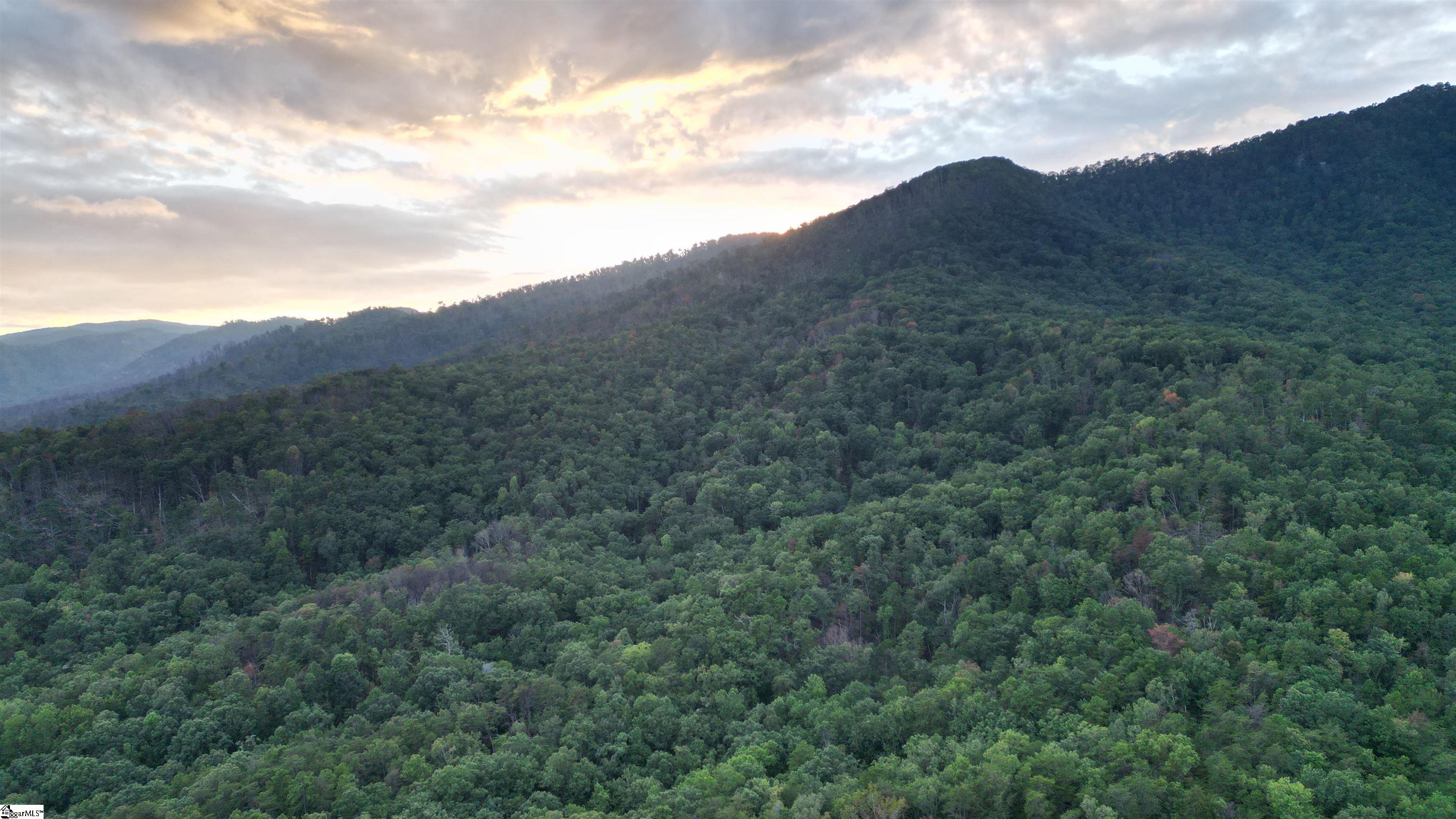 00 Table Rock Road Cleveland, SC 29635