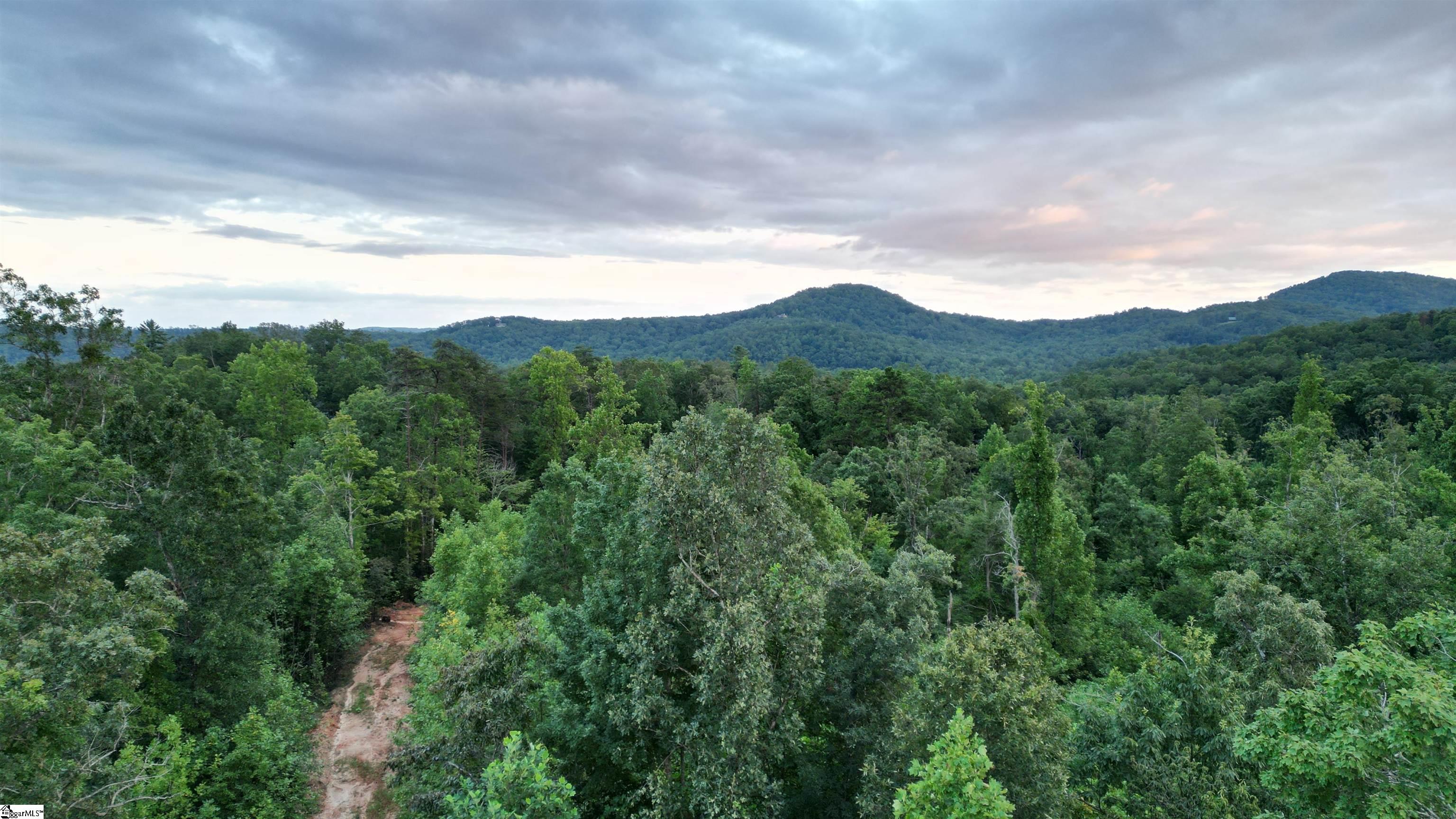 00 Table Rock Road Cleveland, SC 29635