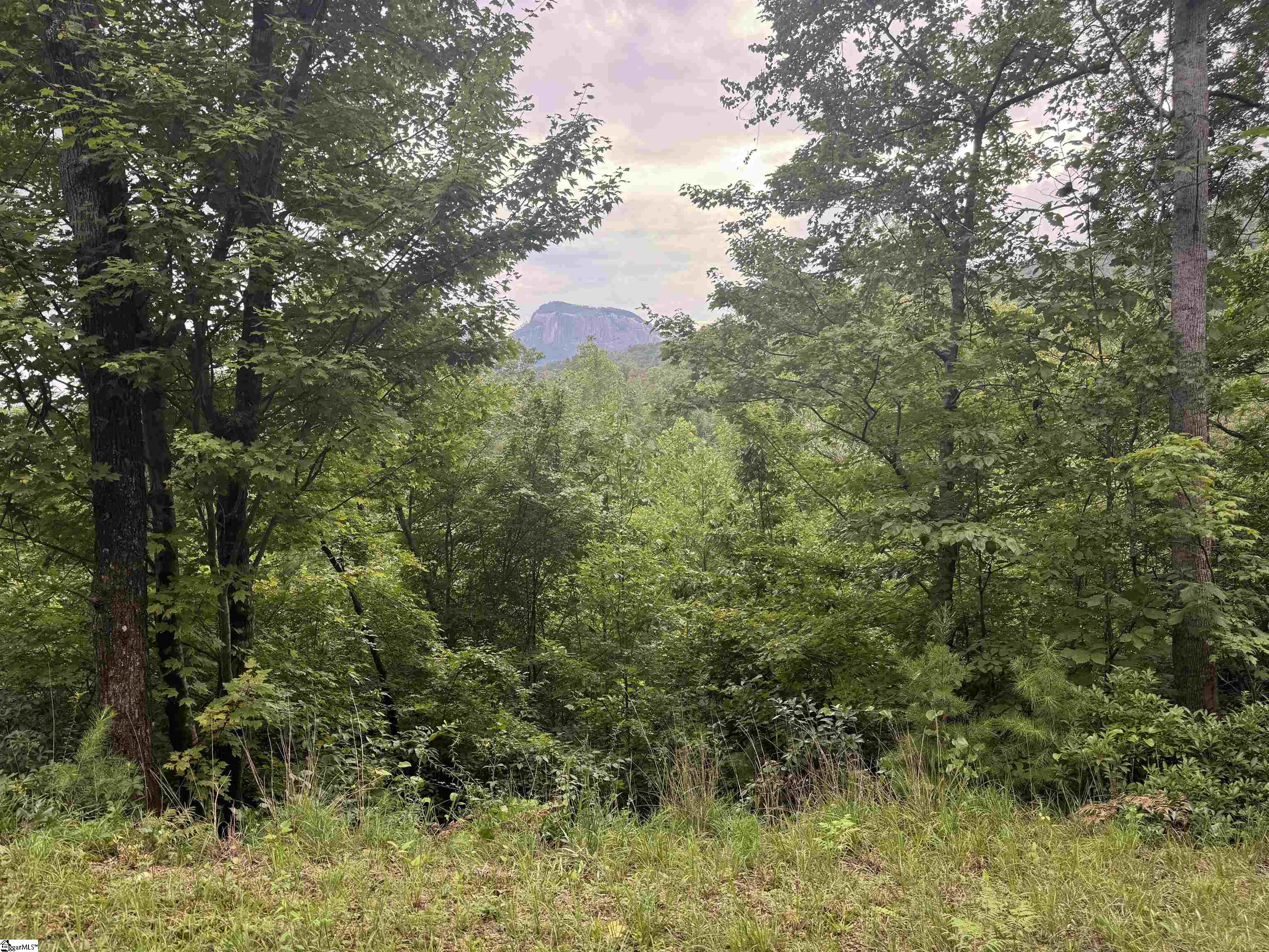 00 Table Rock Road Cleveland, SC 29635