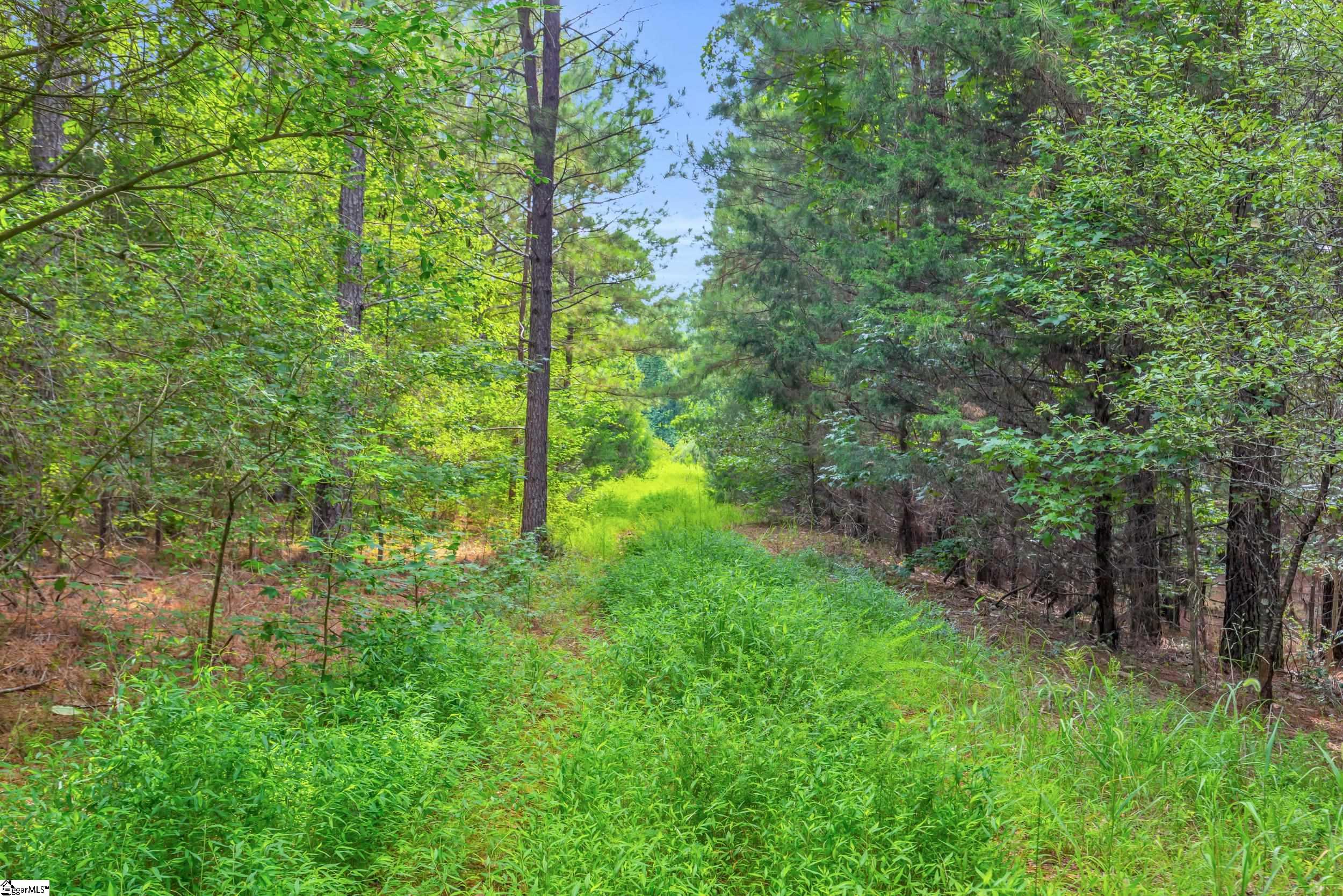 00 Old Norris Road Liberty, SC 29657