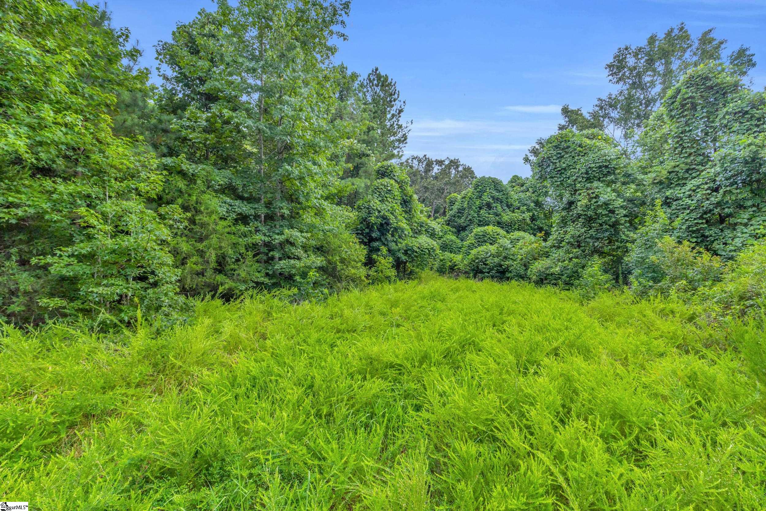 00 Old Norris Road Liberty, SC 29657
