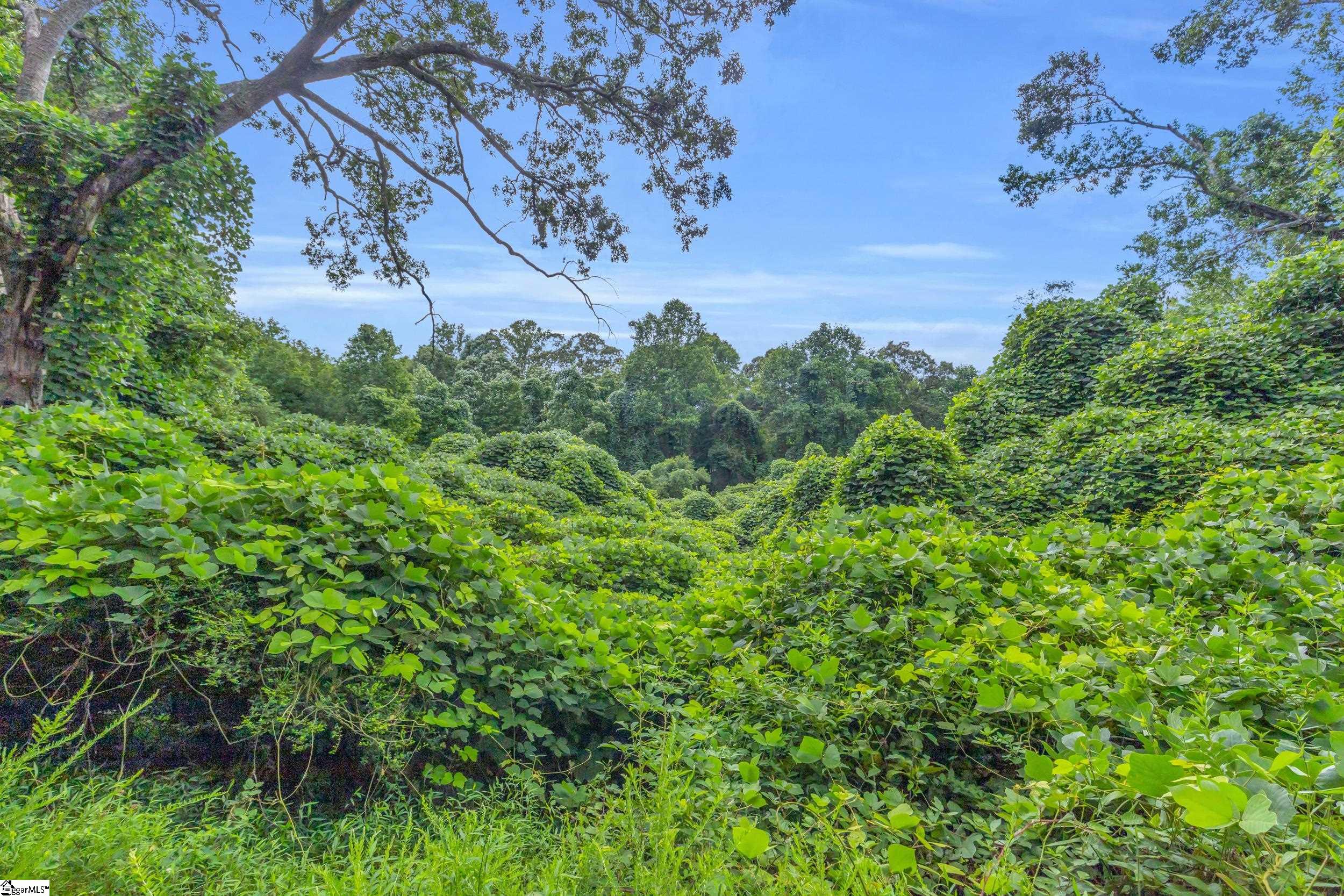 00 Old Norris Road Liberty, SC 29657