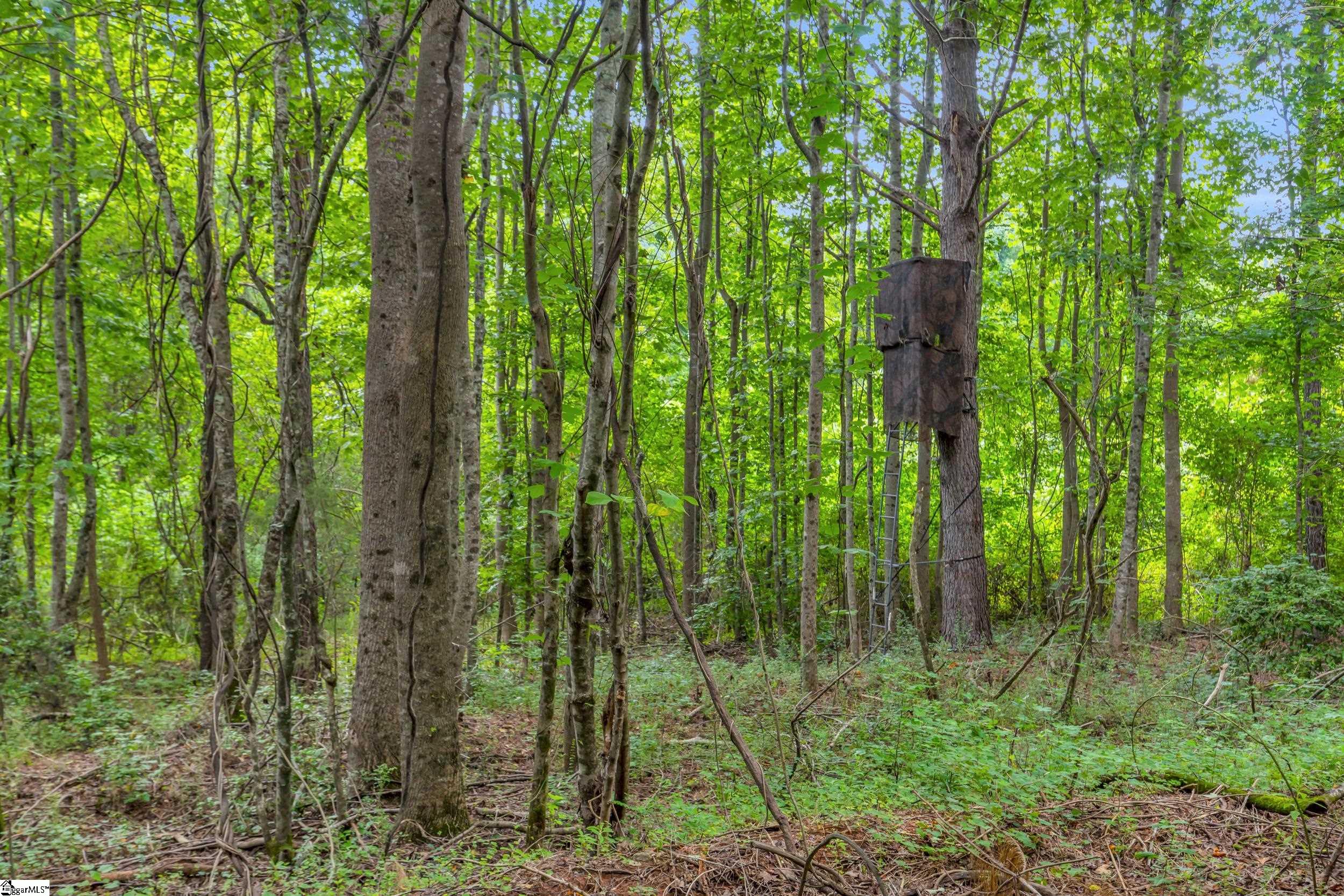 00 Old Norris Road Liberty, SC 29657