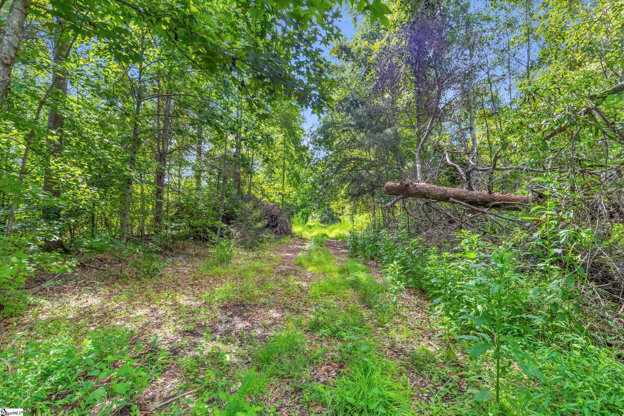 00 Old Norris Road Liberty, SC 29657