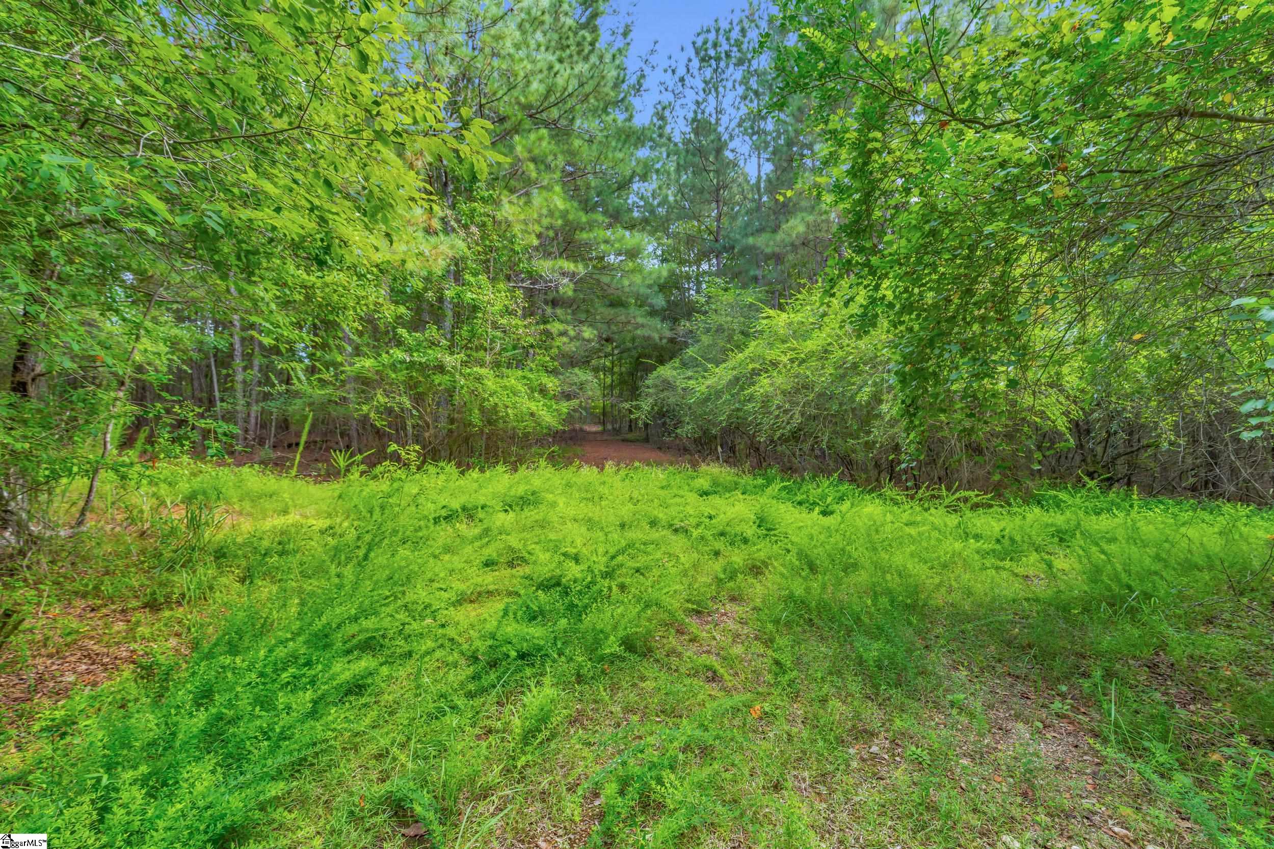 00 Old Norris Road Liberty, SC 29657